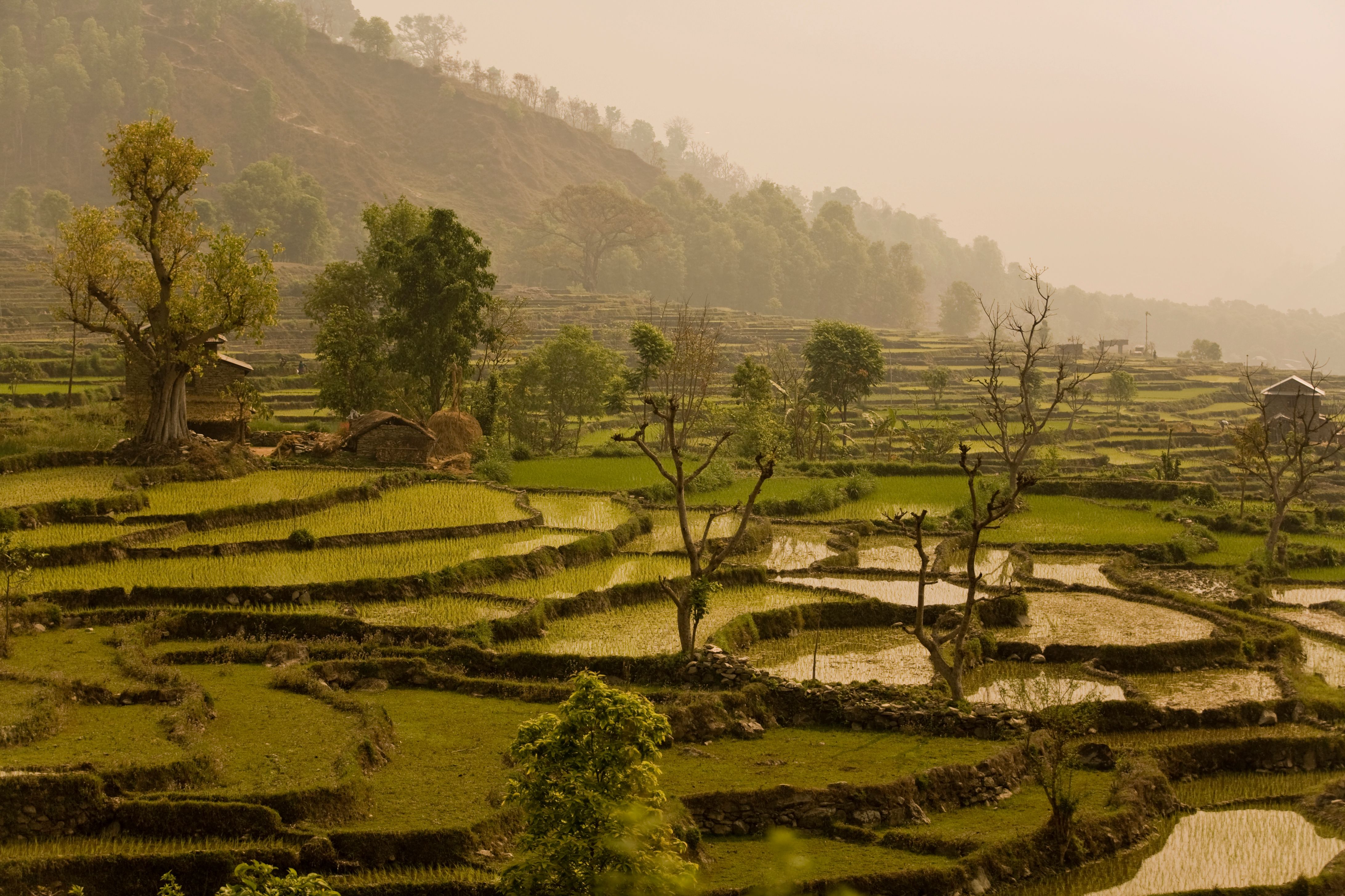 ბირტნაგარი