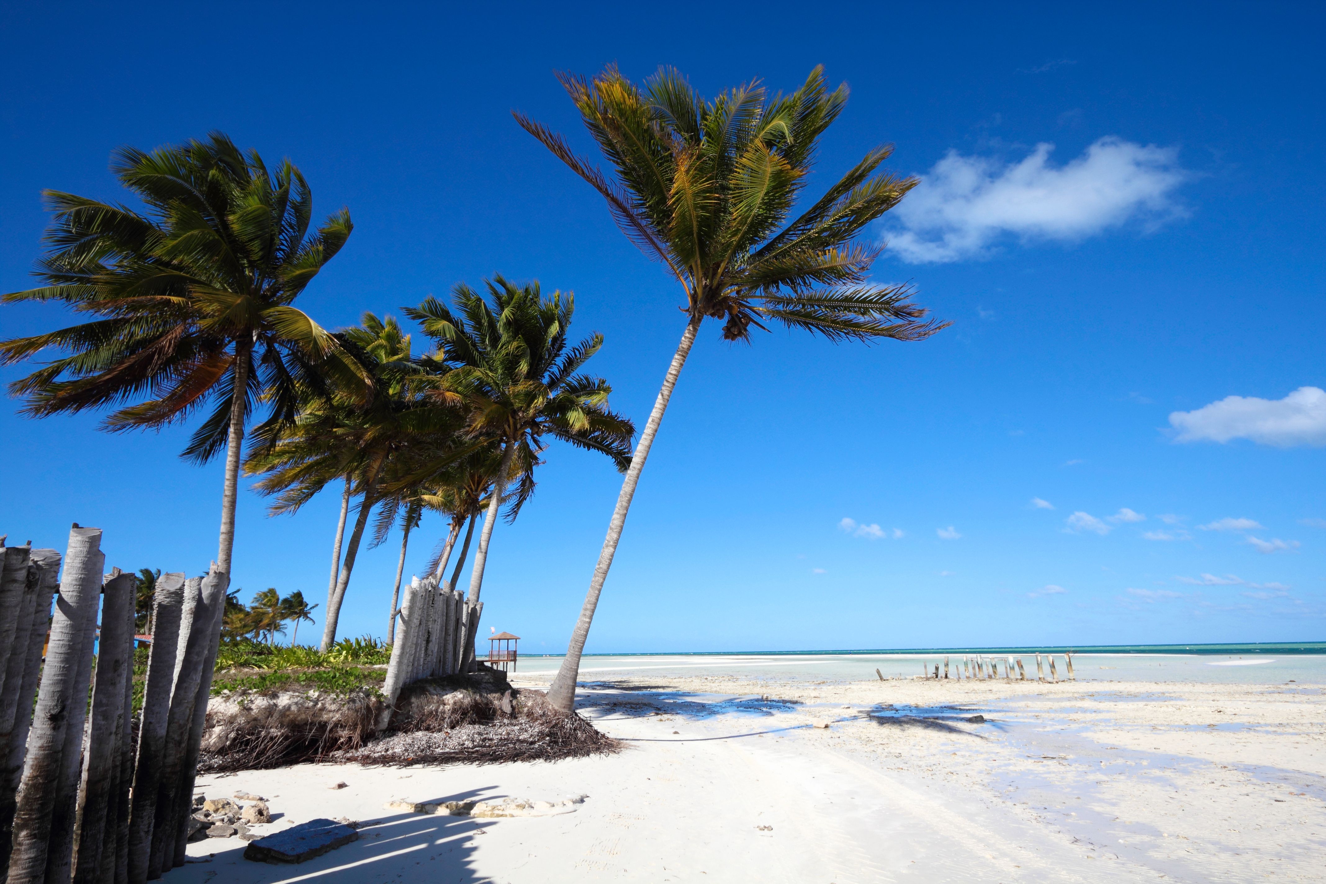 კაიო კოკო