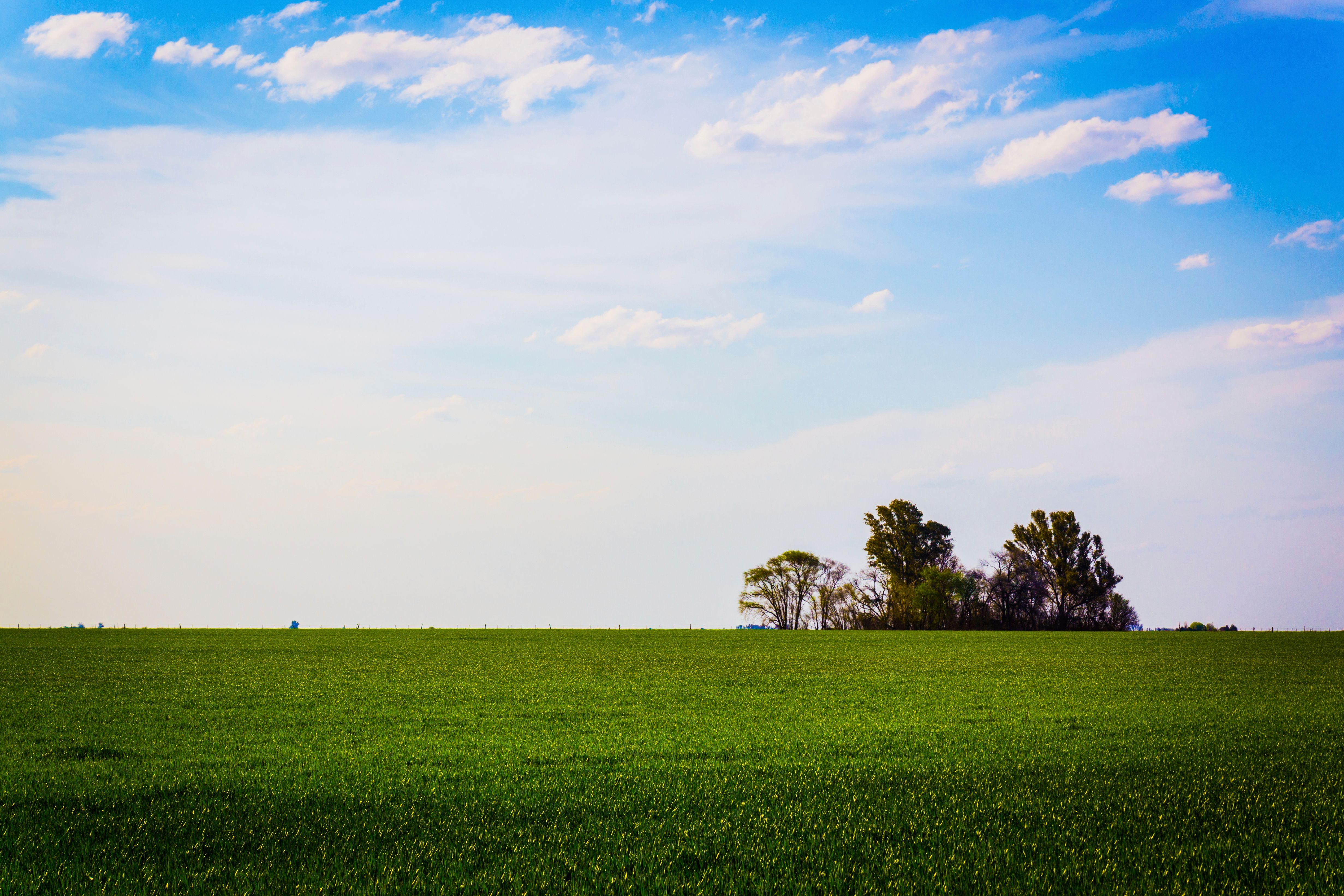 კორდობა, კოდობობა პროვინცია