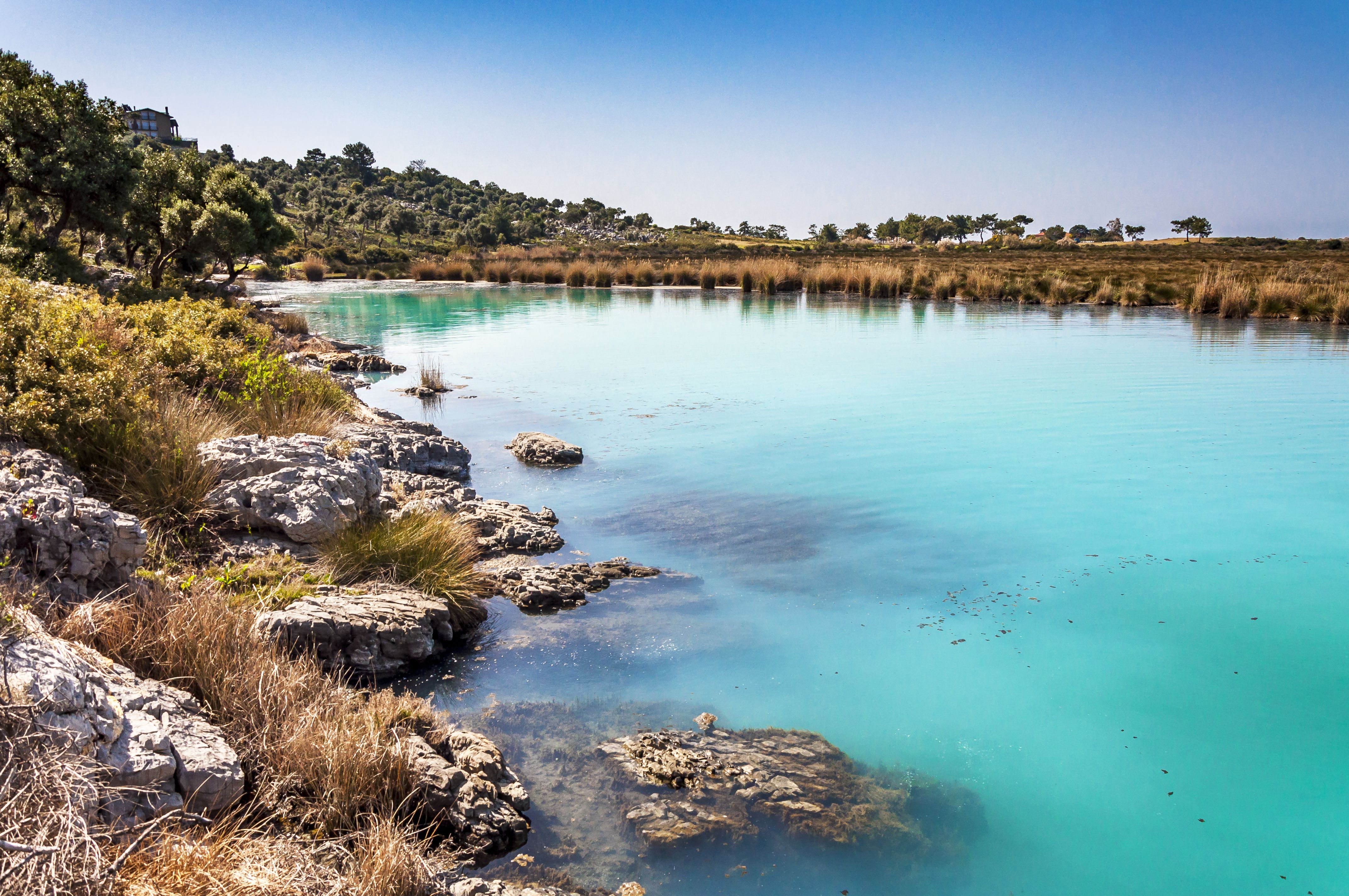 დალამანი