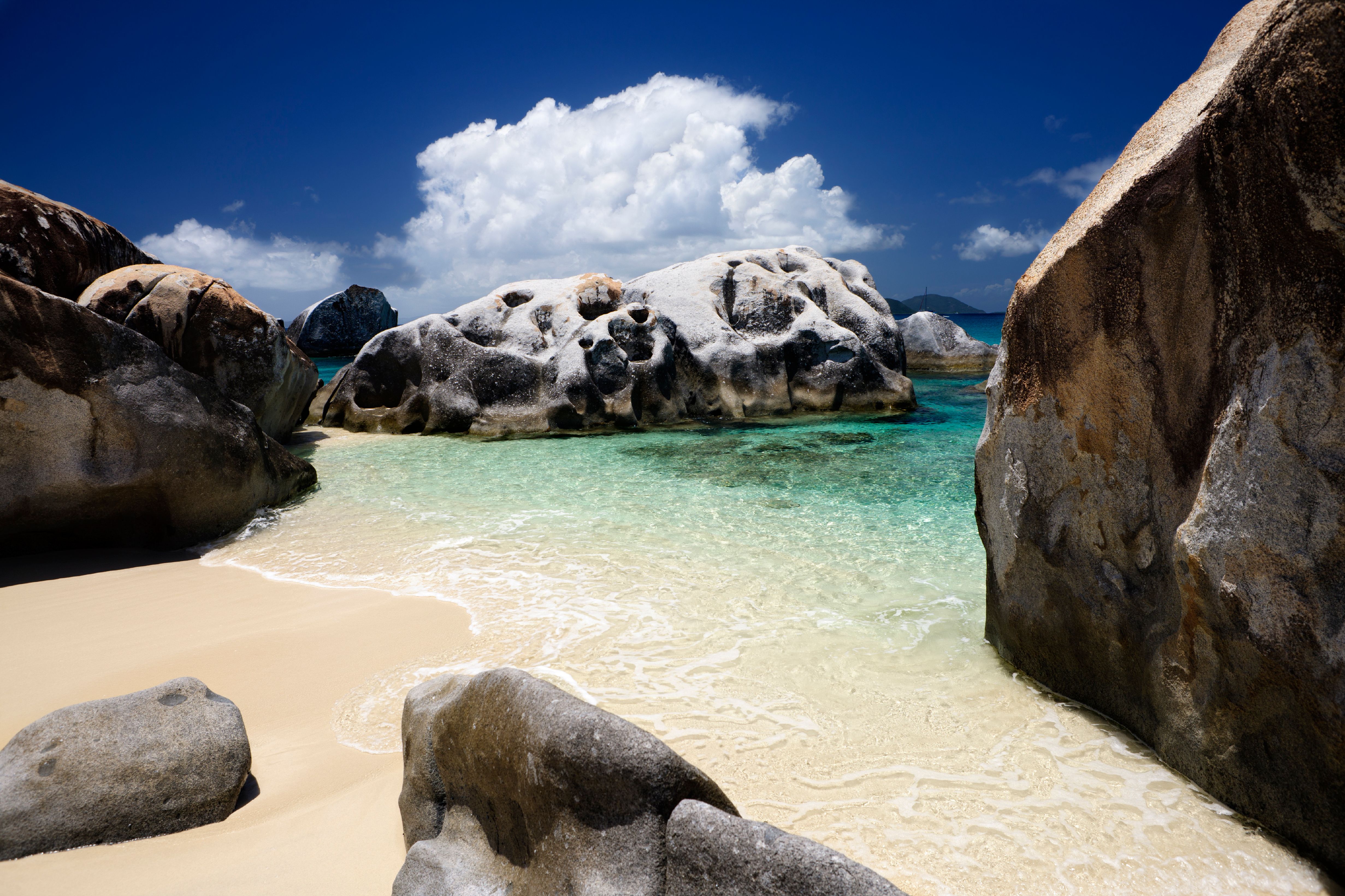 ტორტოლა