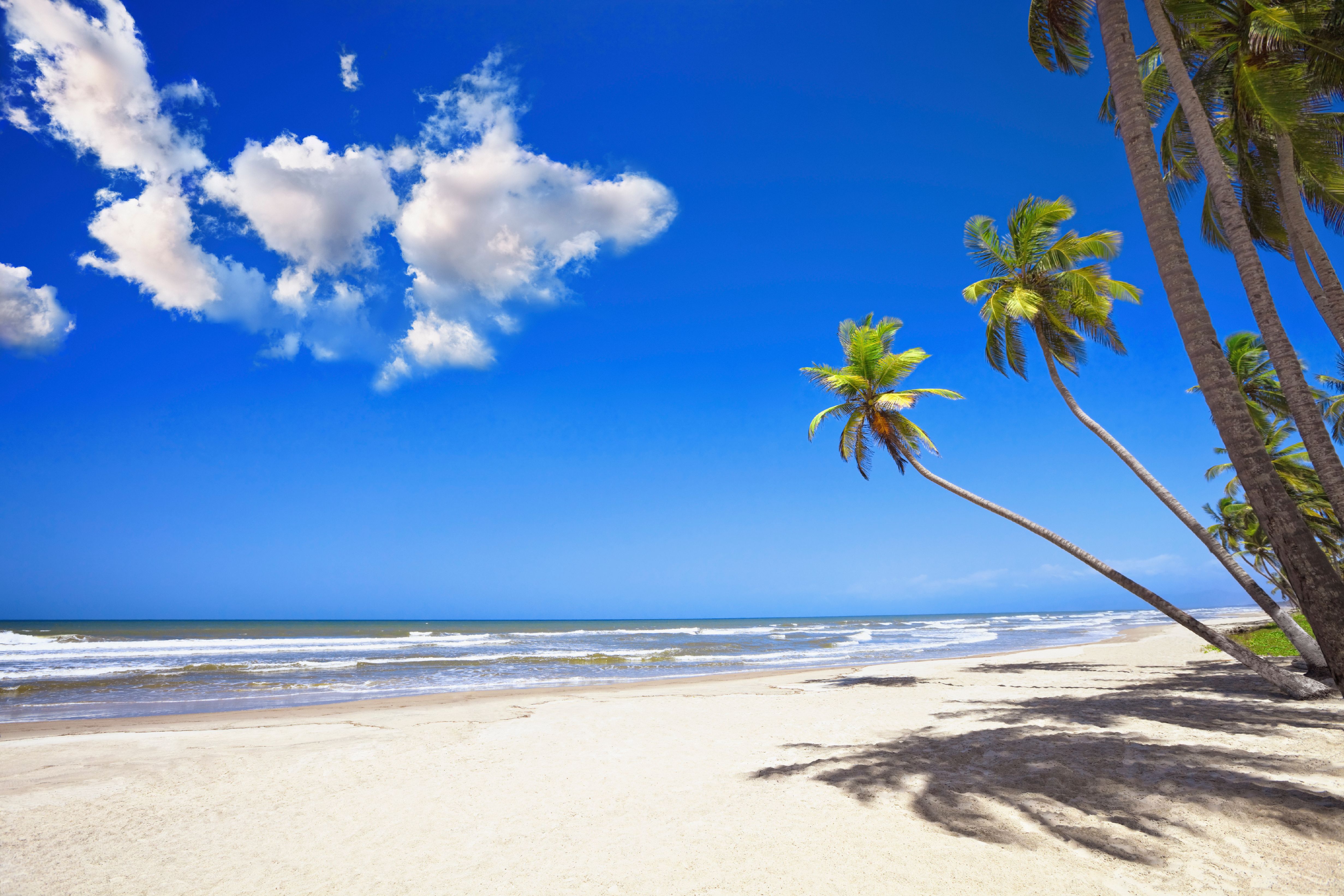 გოვერნერს ხარბორი