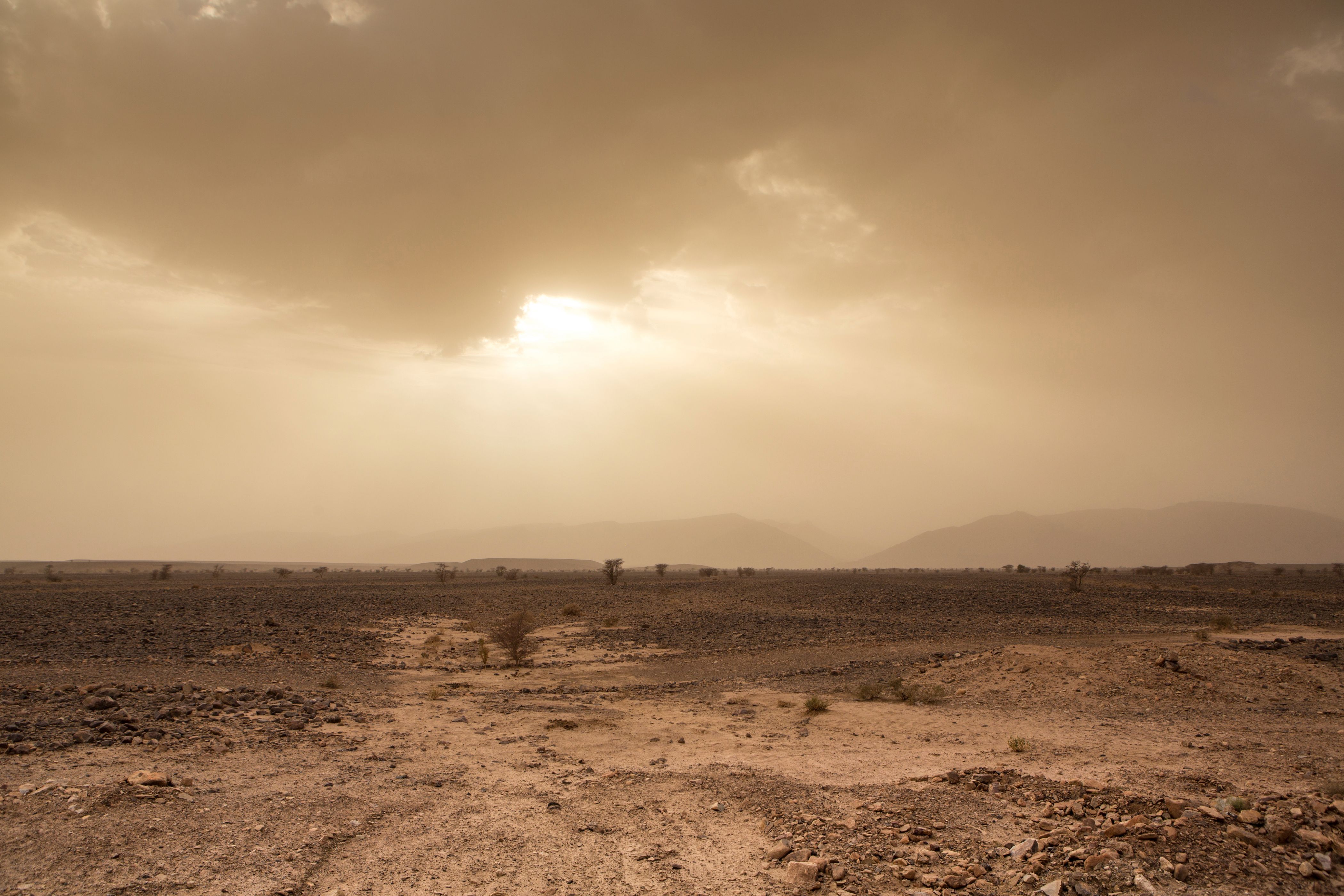 ჰასსი-მესაუდი