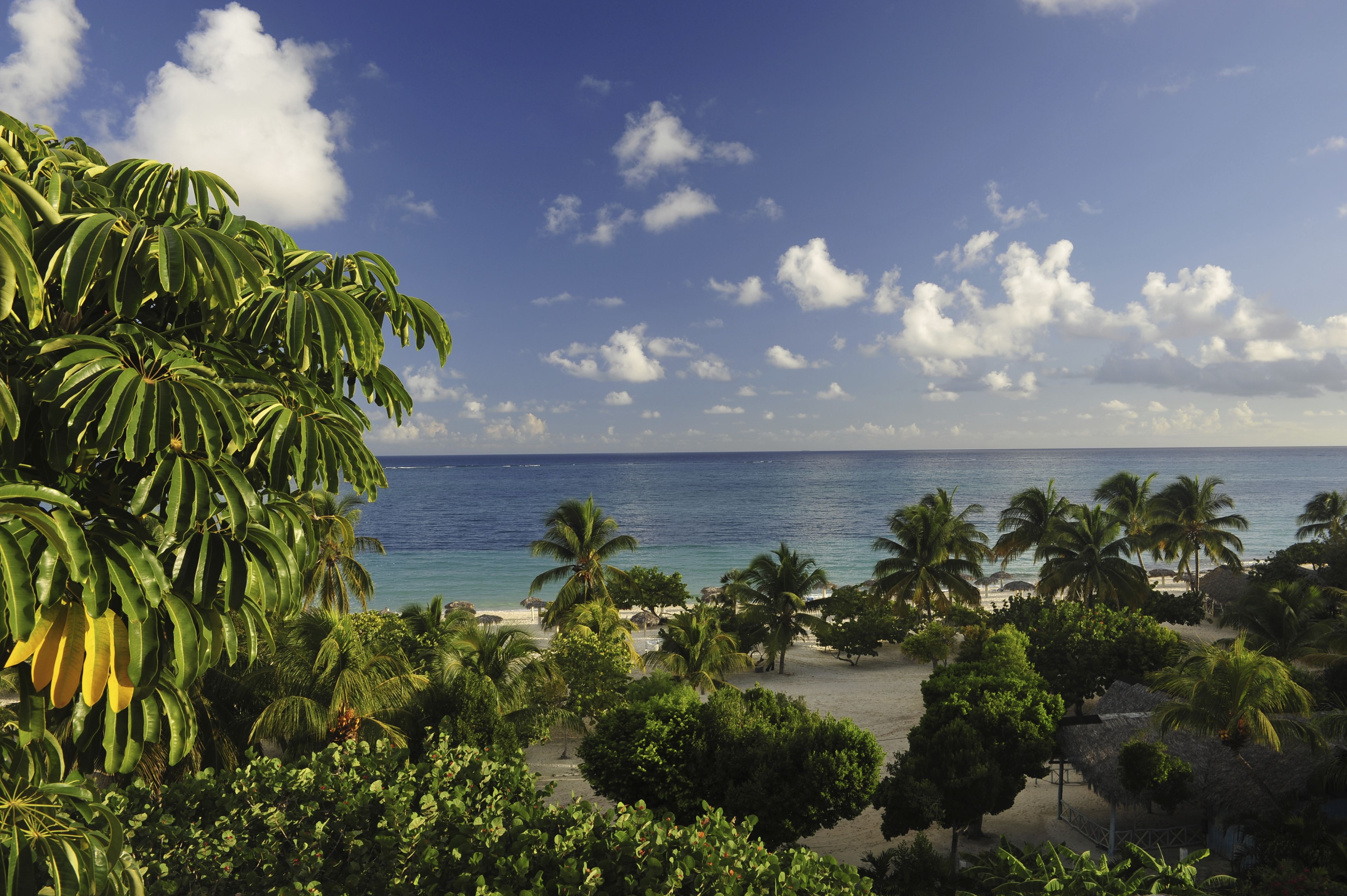 ოლიგინი