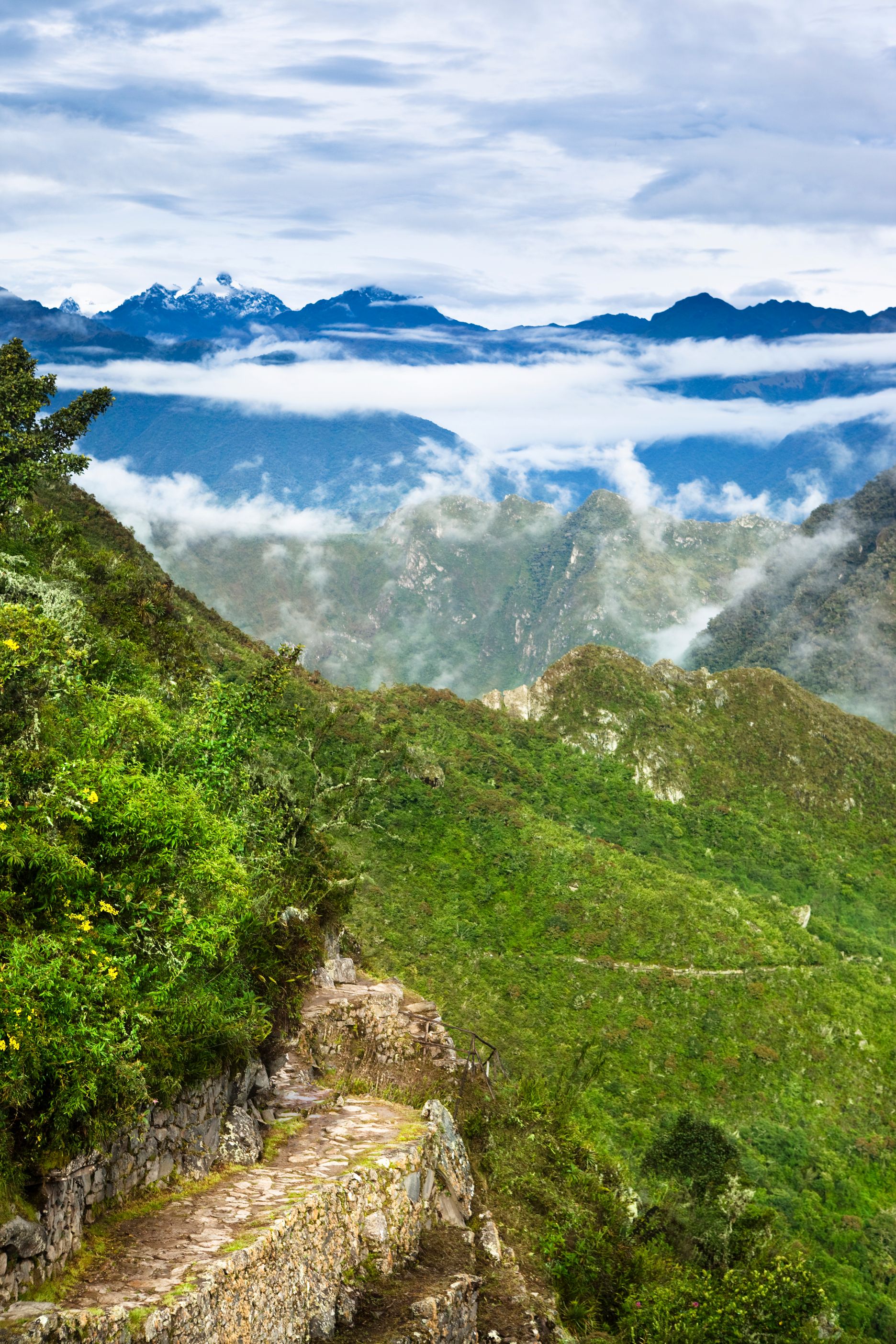 იკიტოსი