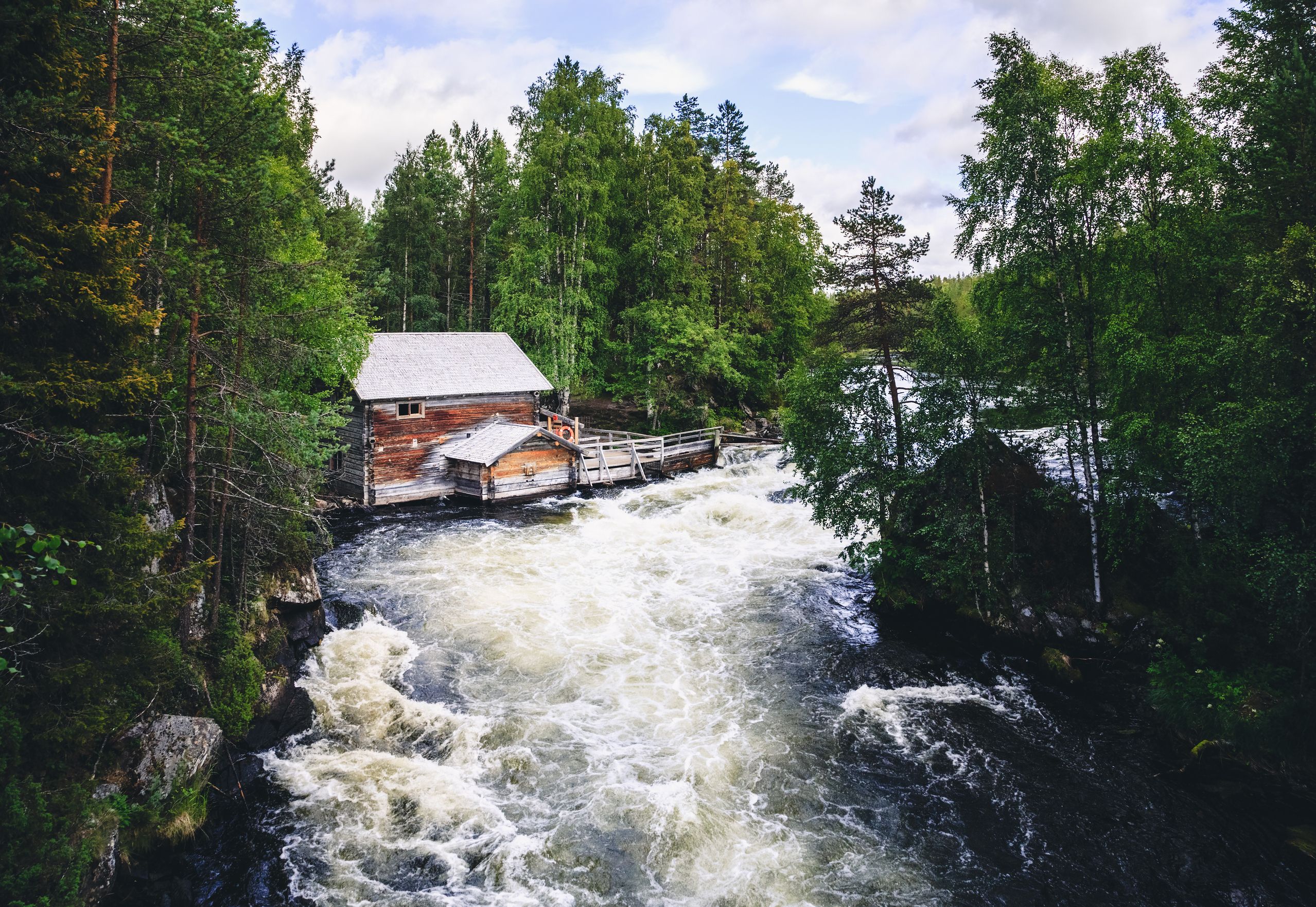 კუუსამო
