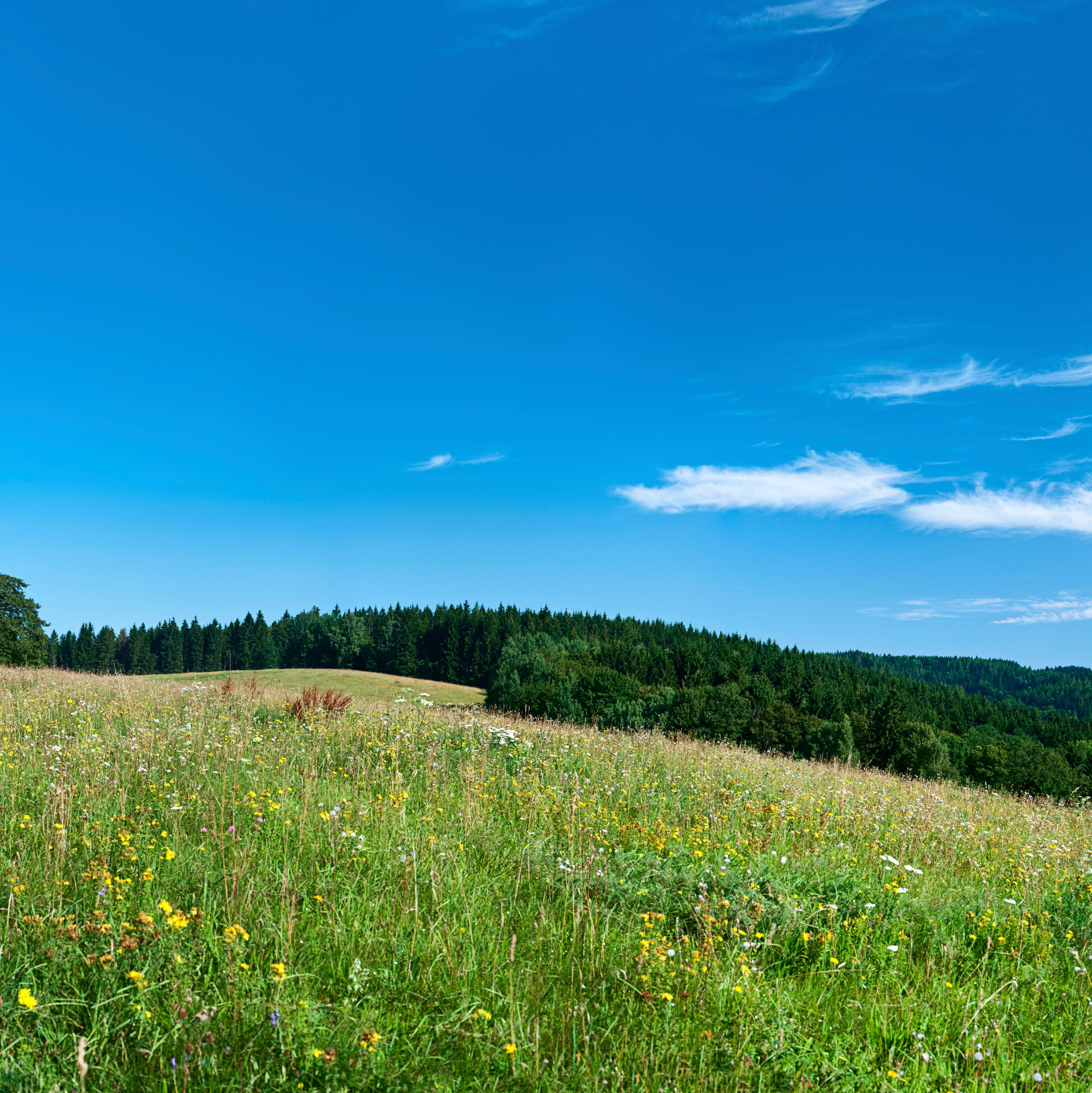 კიშის კუნძული