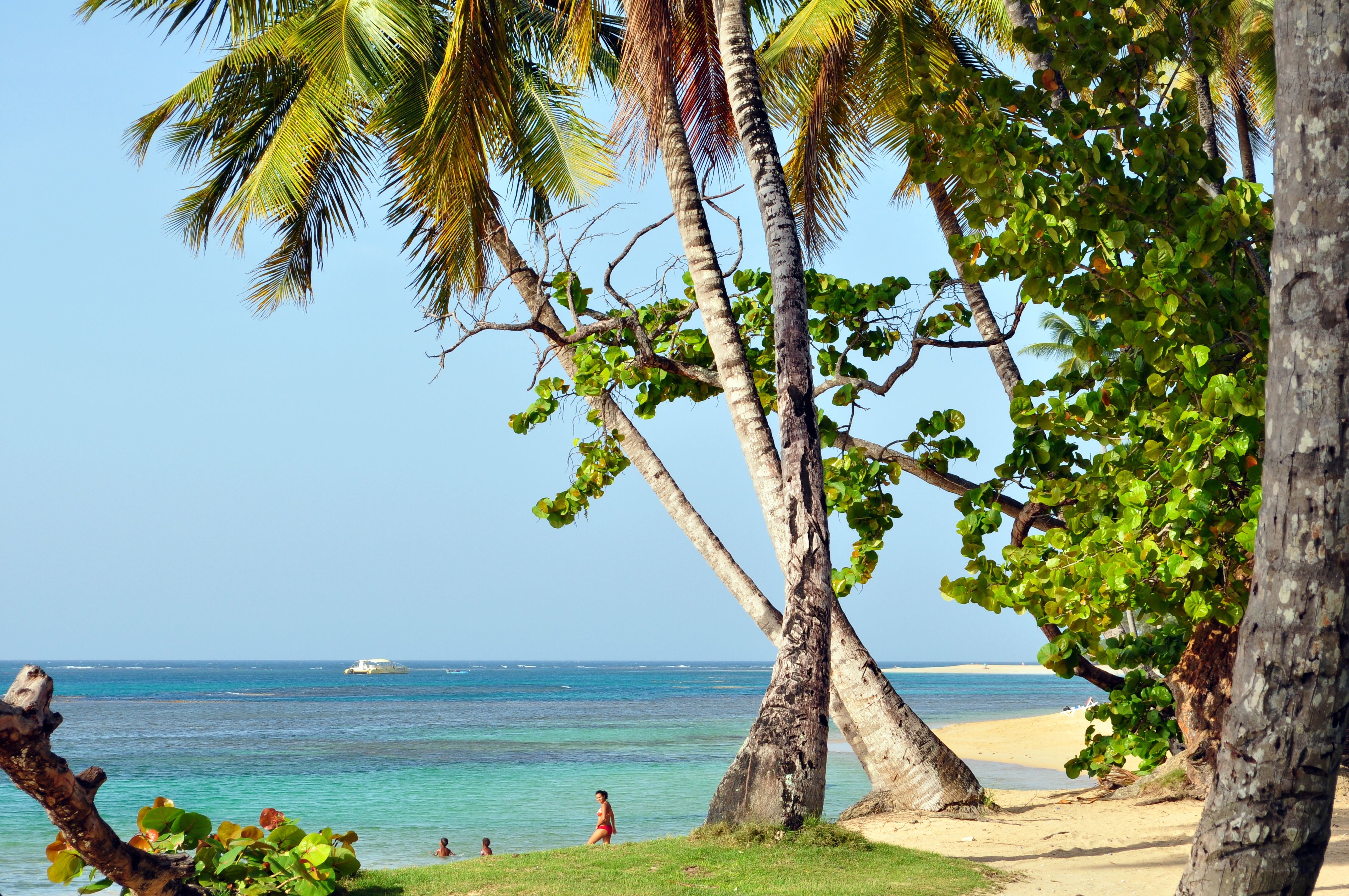 ლონსესტონი