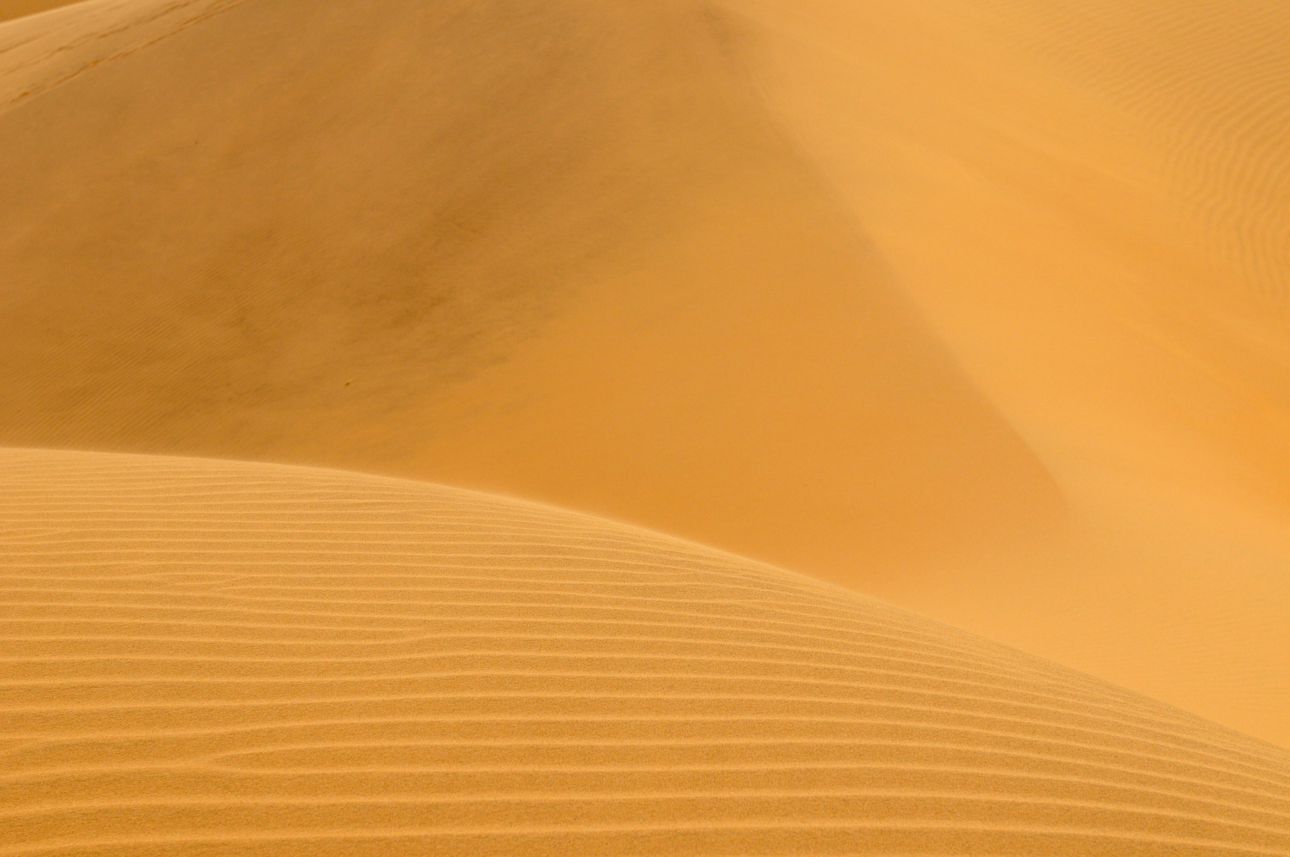 მარაკაბიო