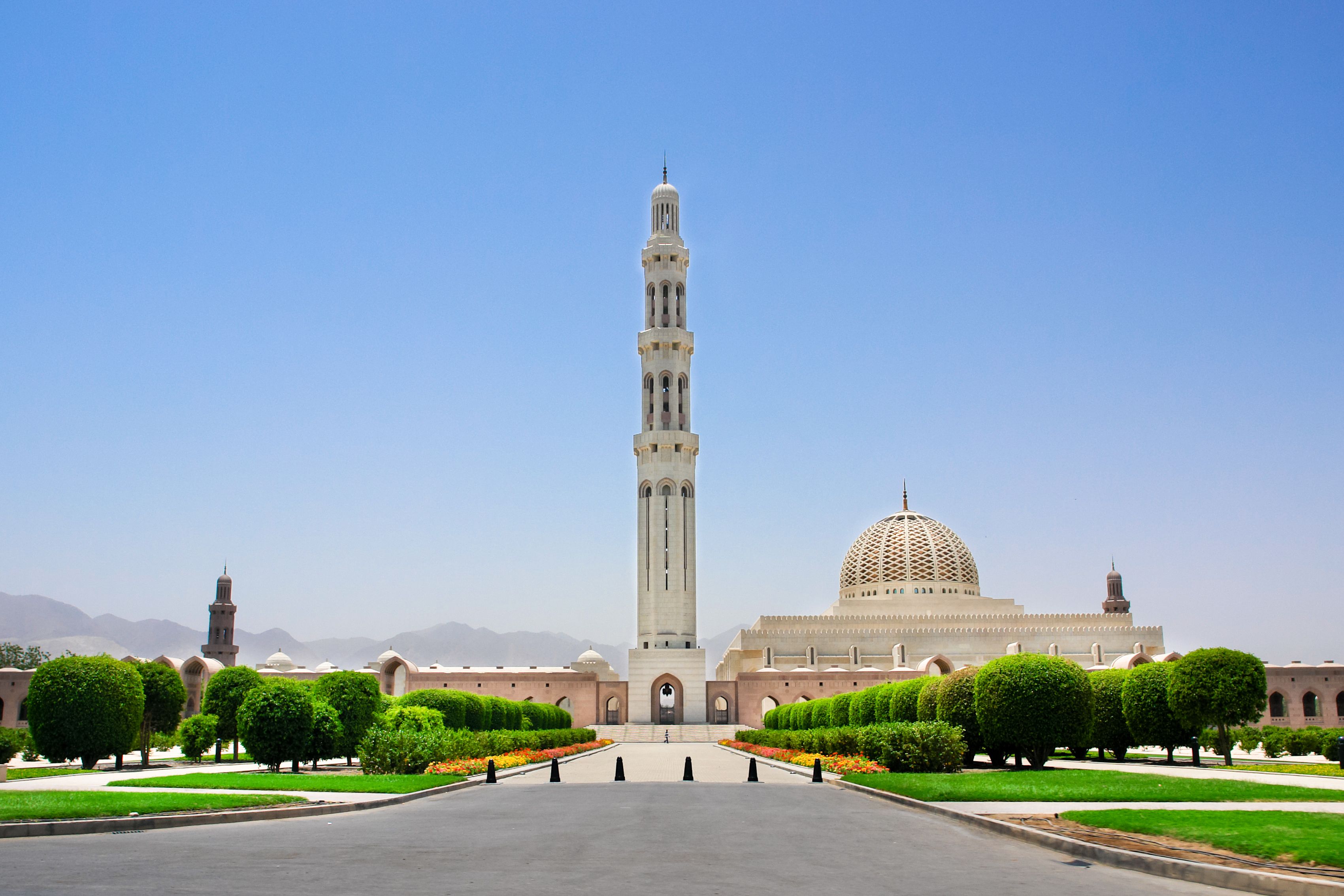 მასკატი