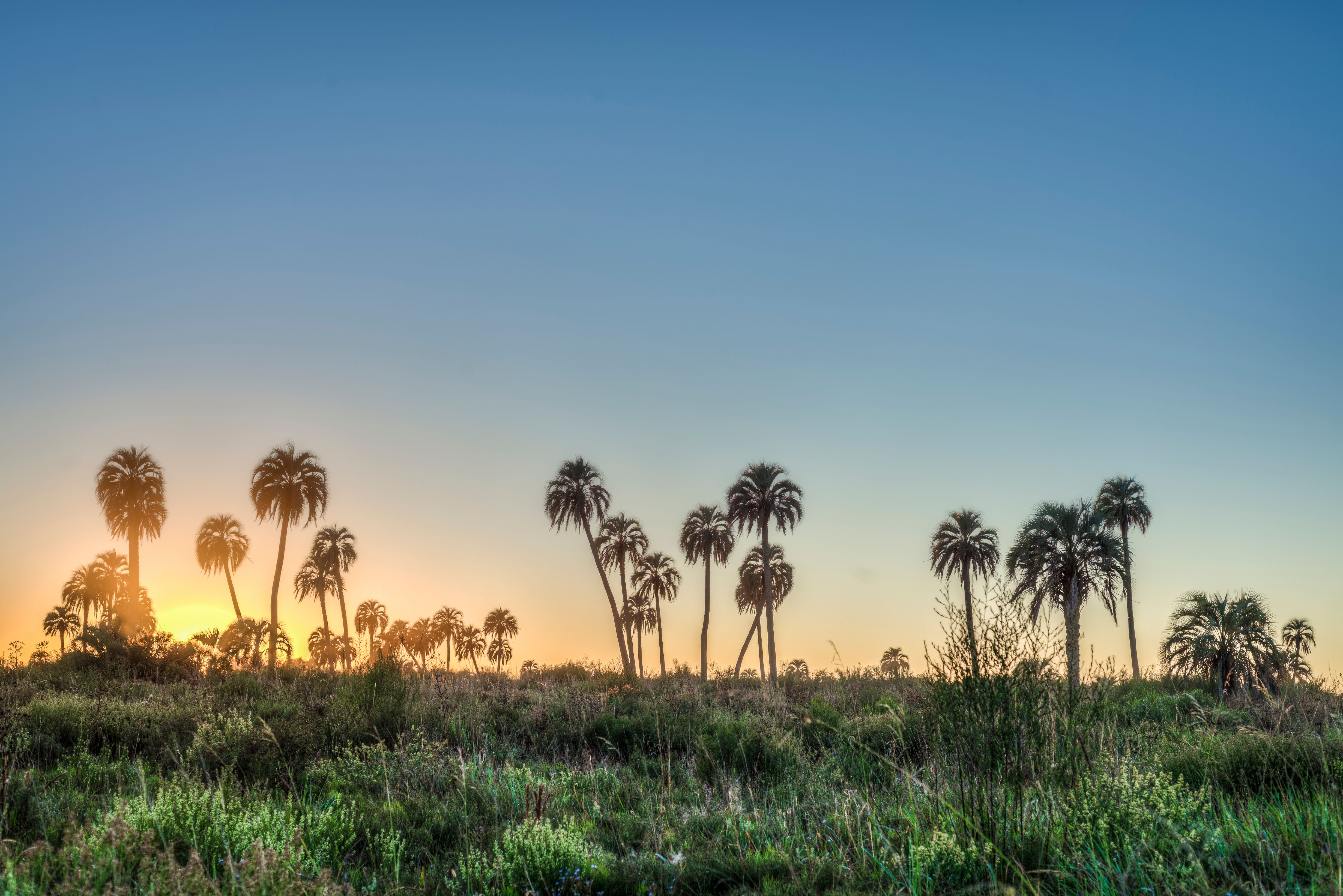 მარ-დელ-პლატა