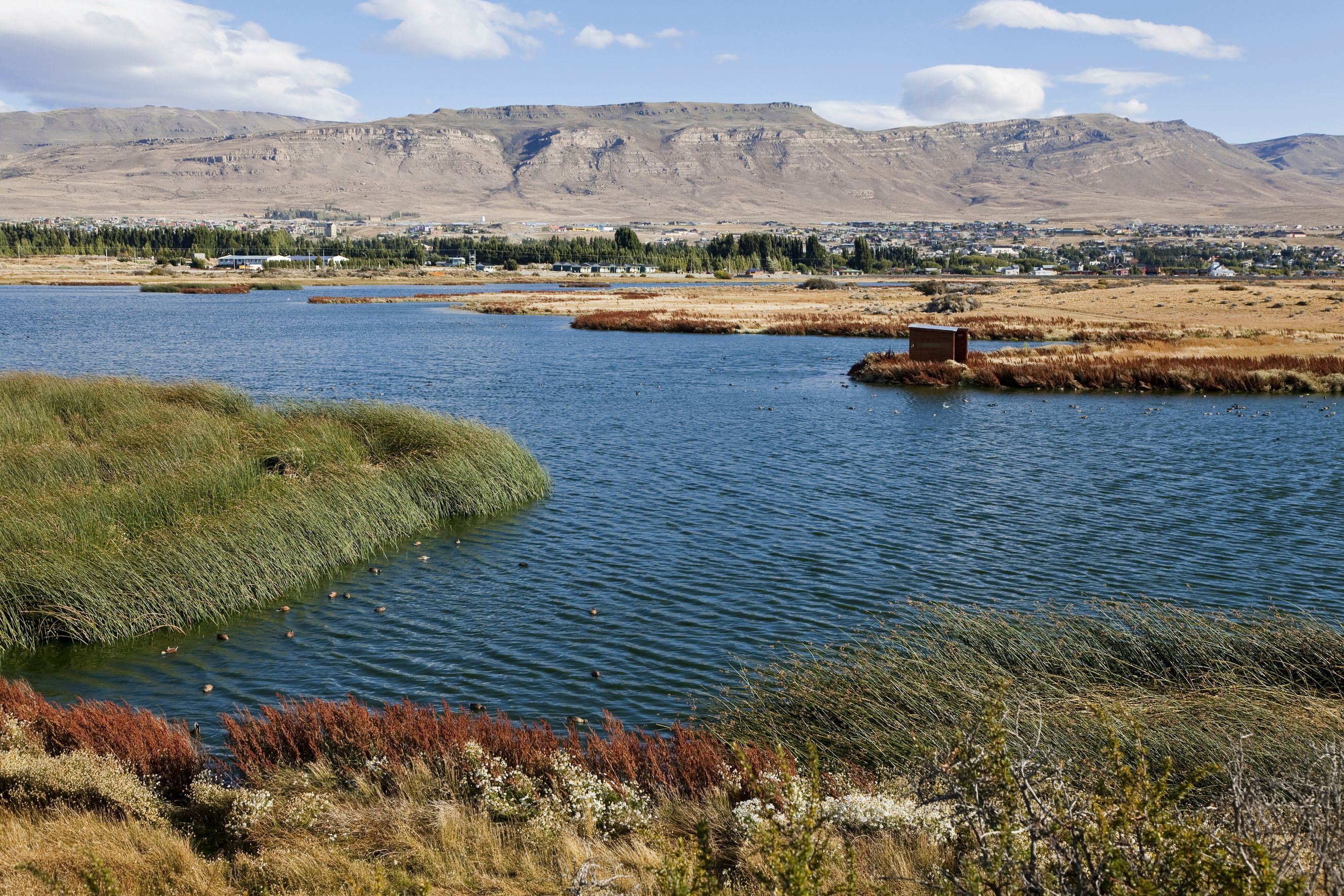 მენდოზა