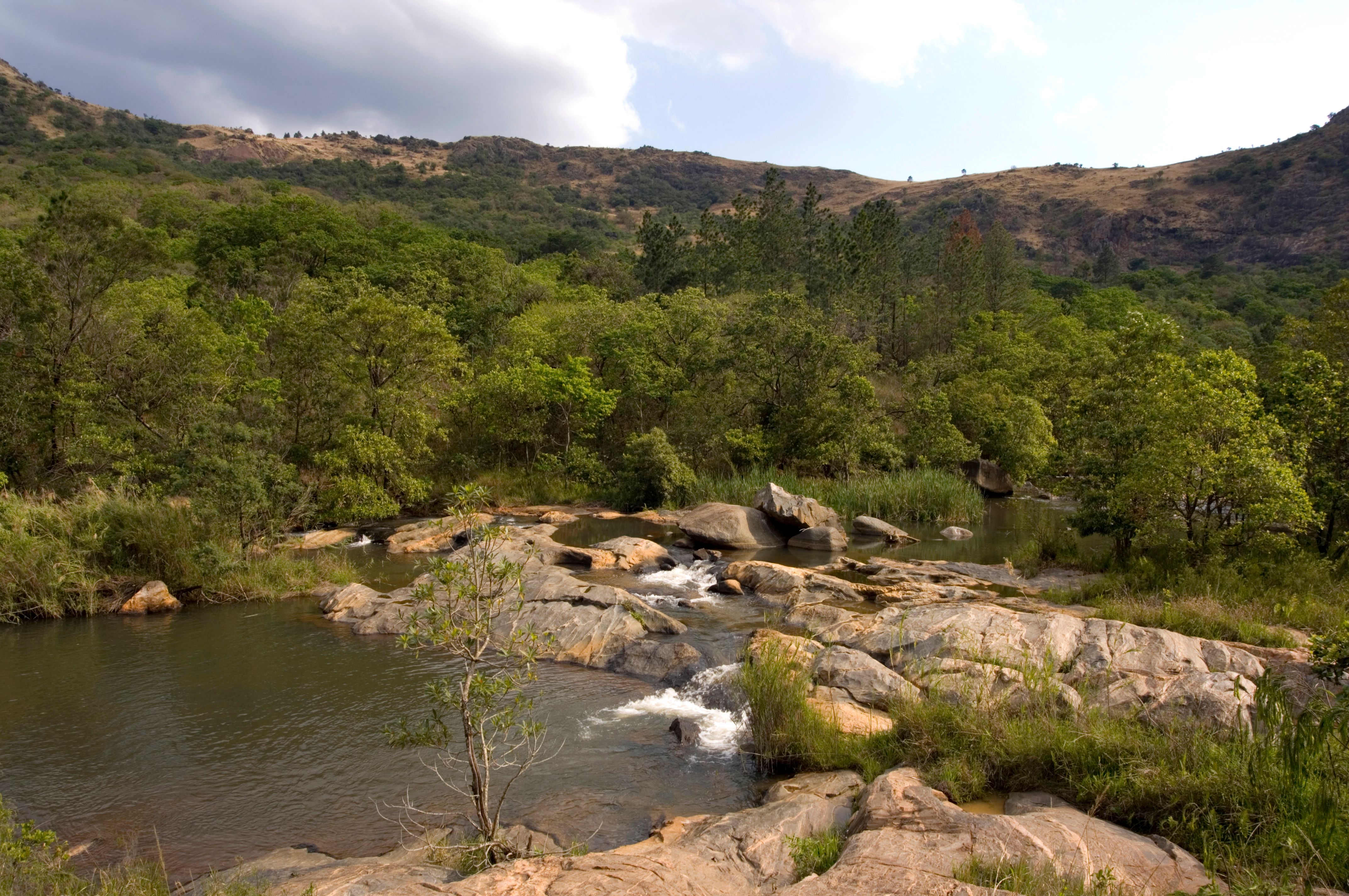 მანზინი