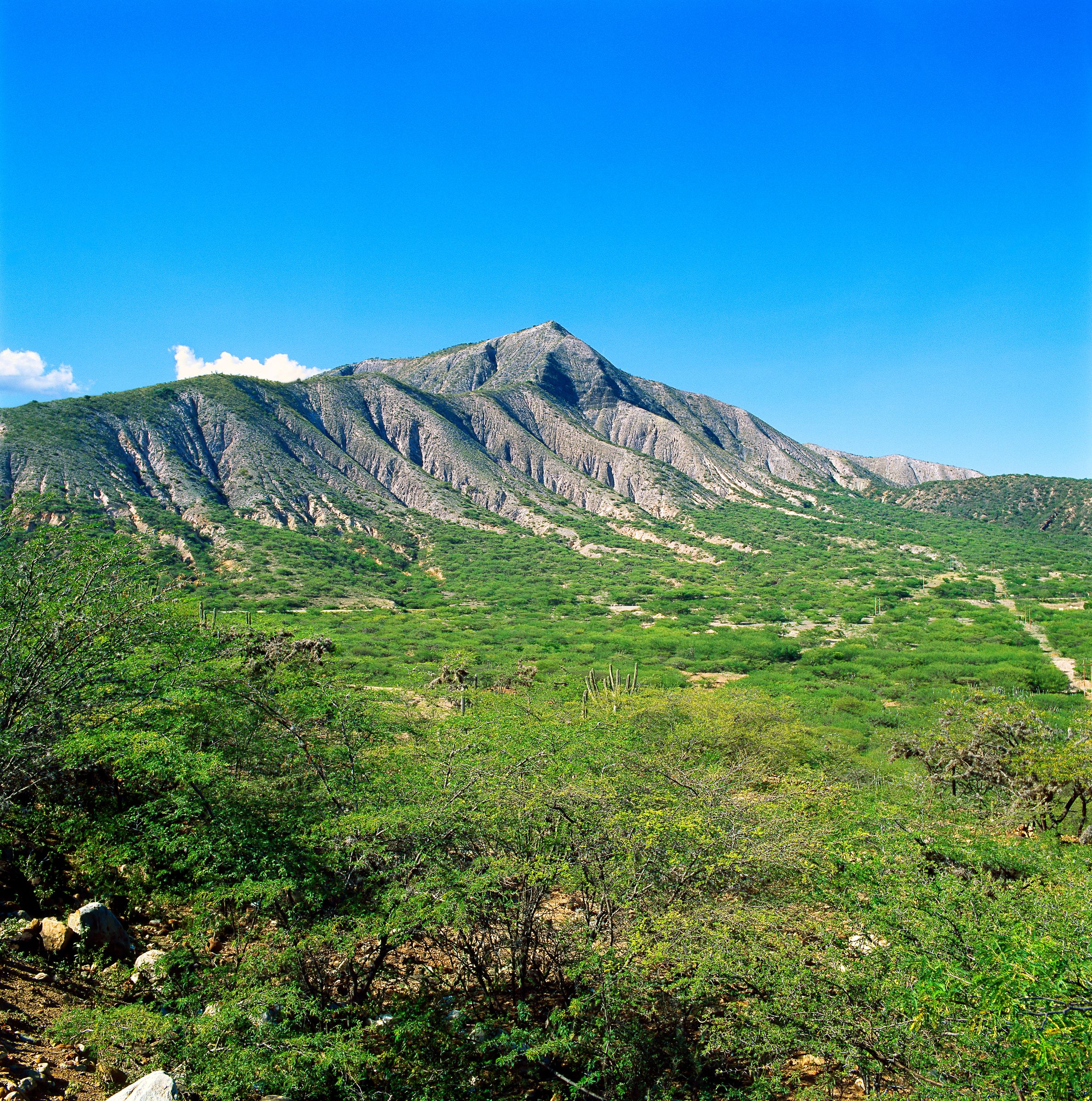 მატურინი