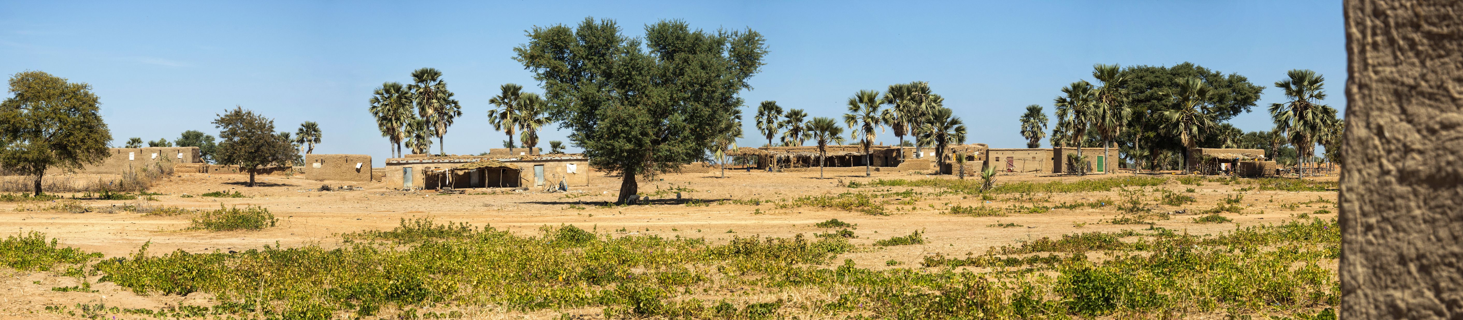 ნჯამენა