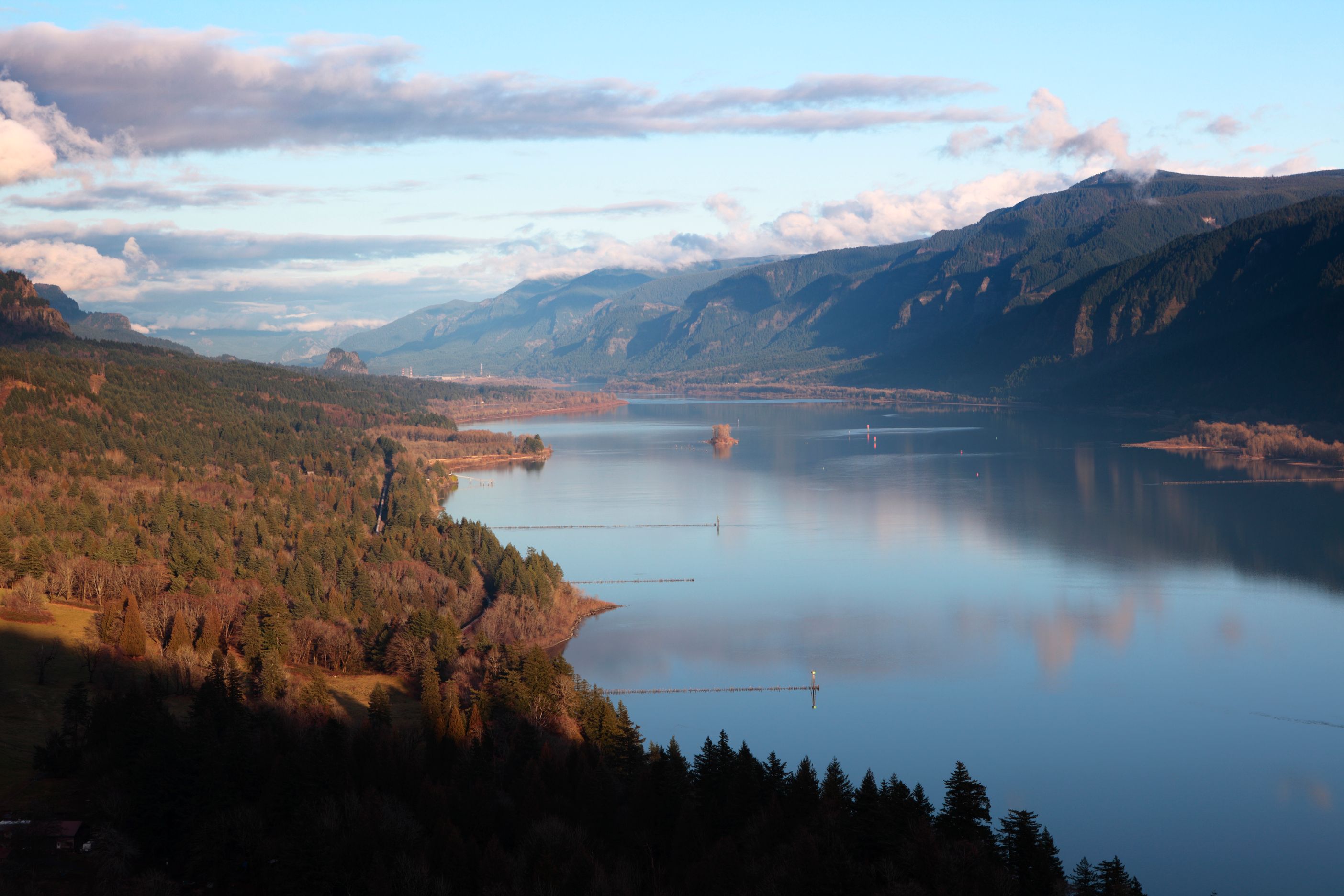 პერეირა