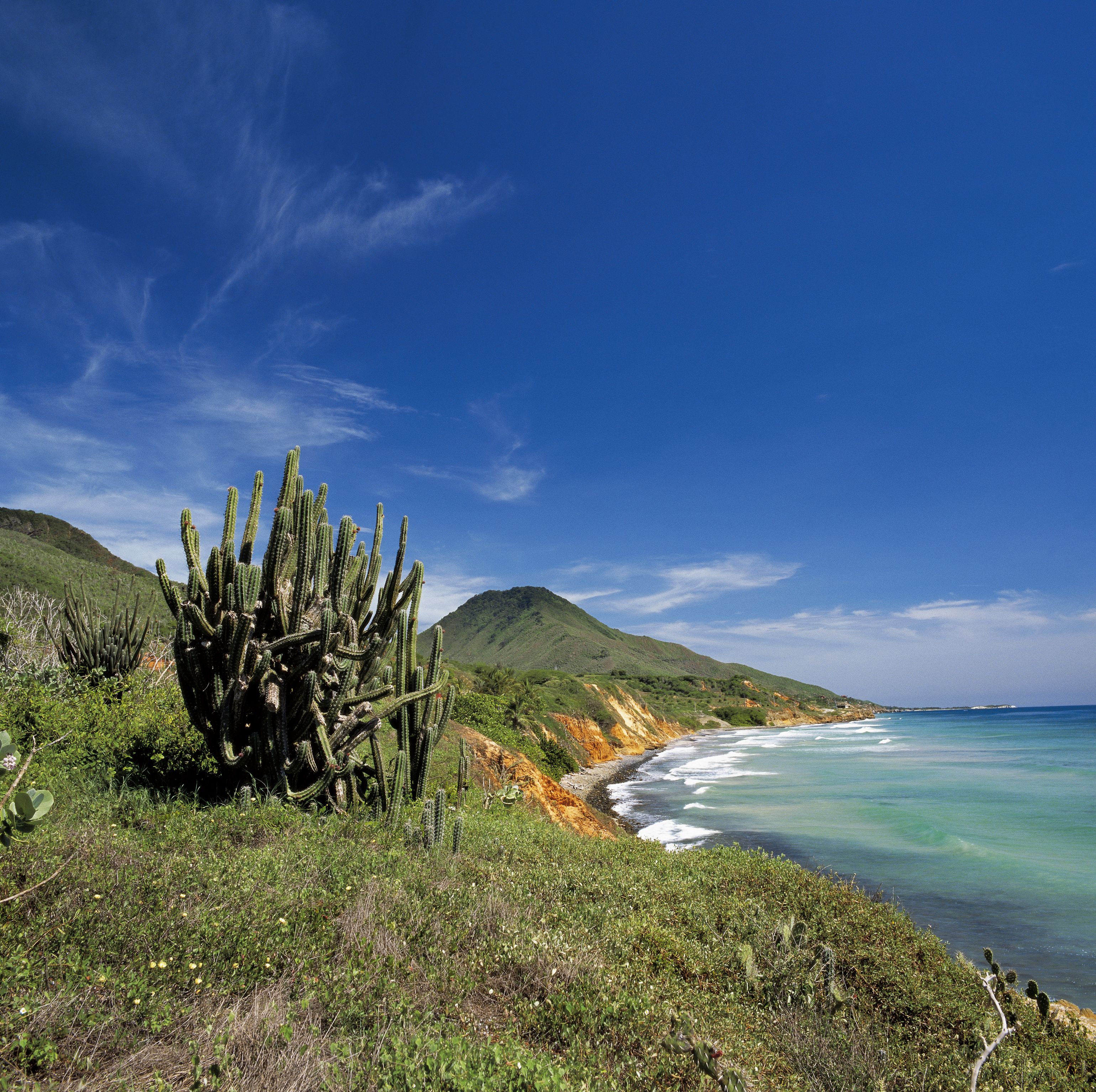 პორლამარი