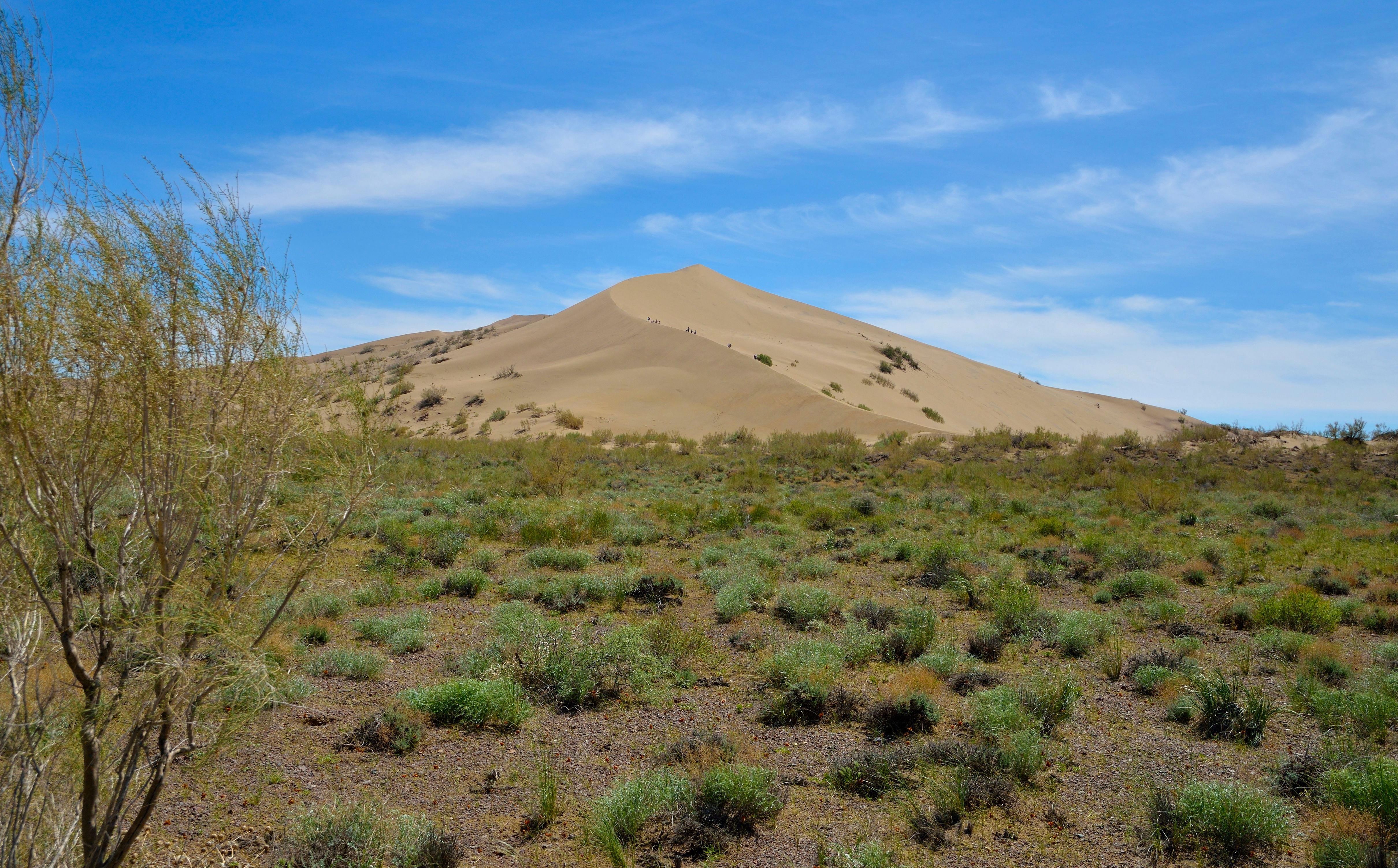 პავლოდარ