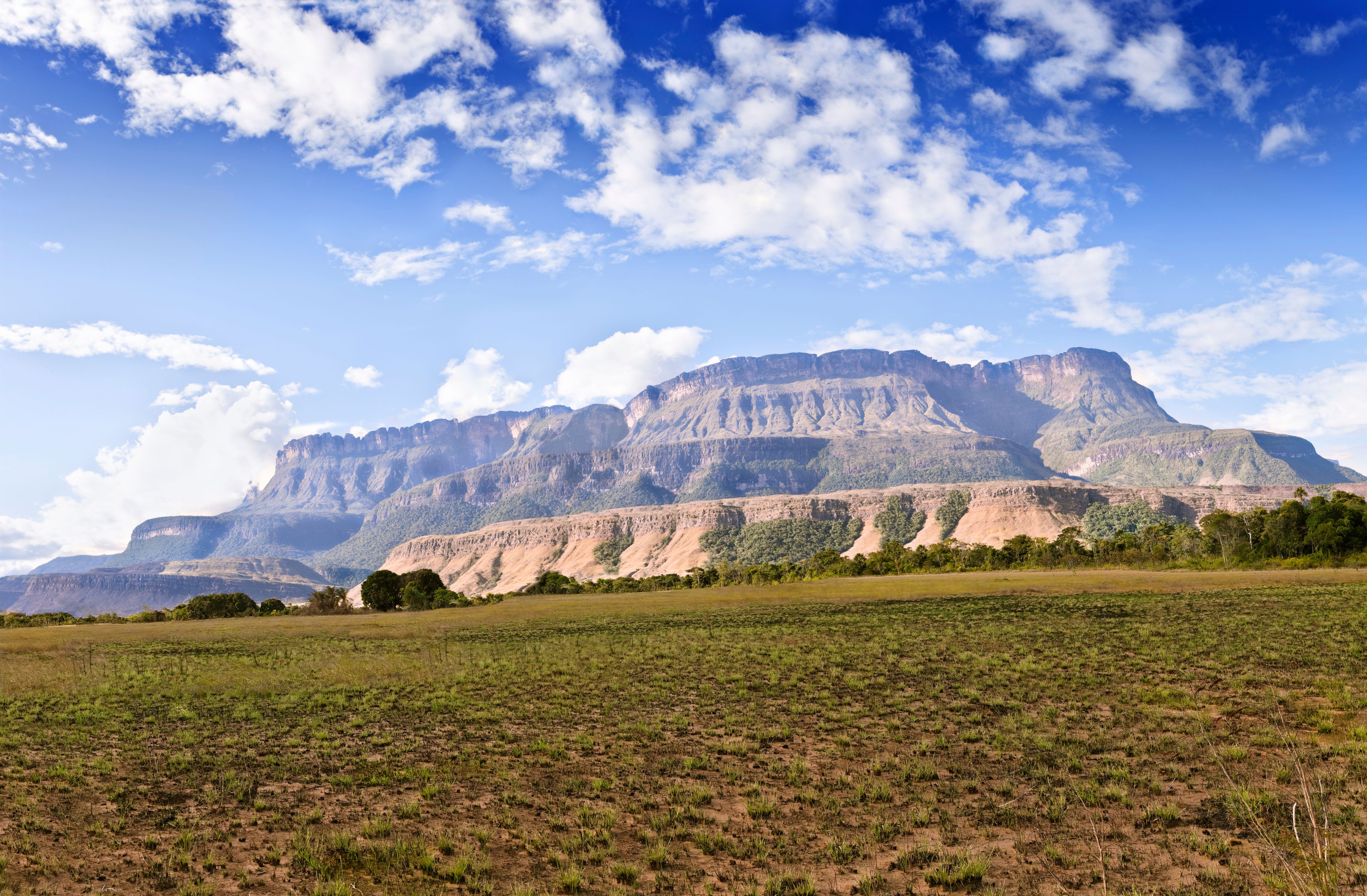 პუერტო ორდასი