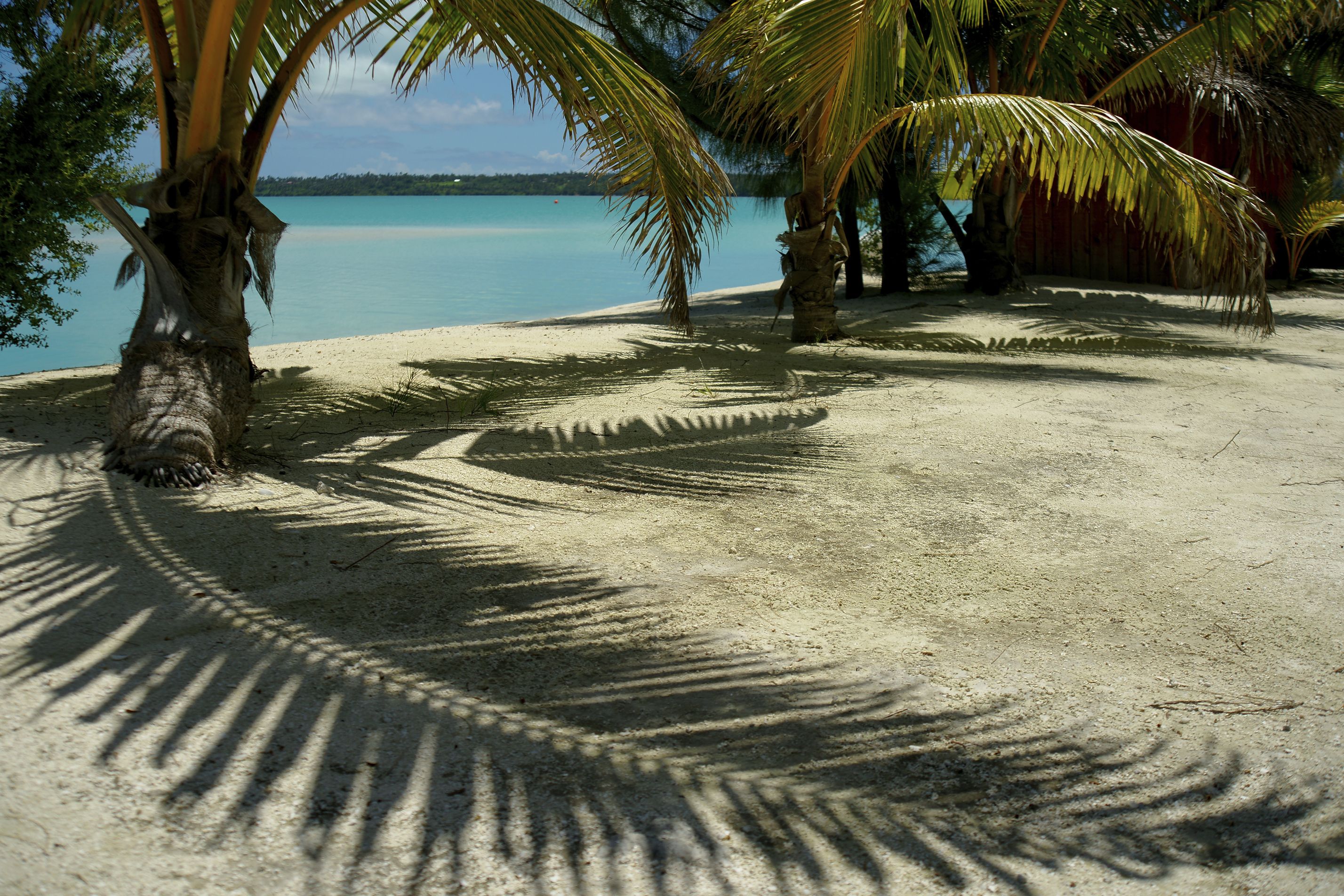 რაროტონგა