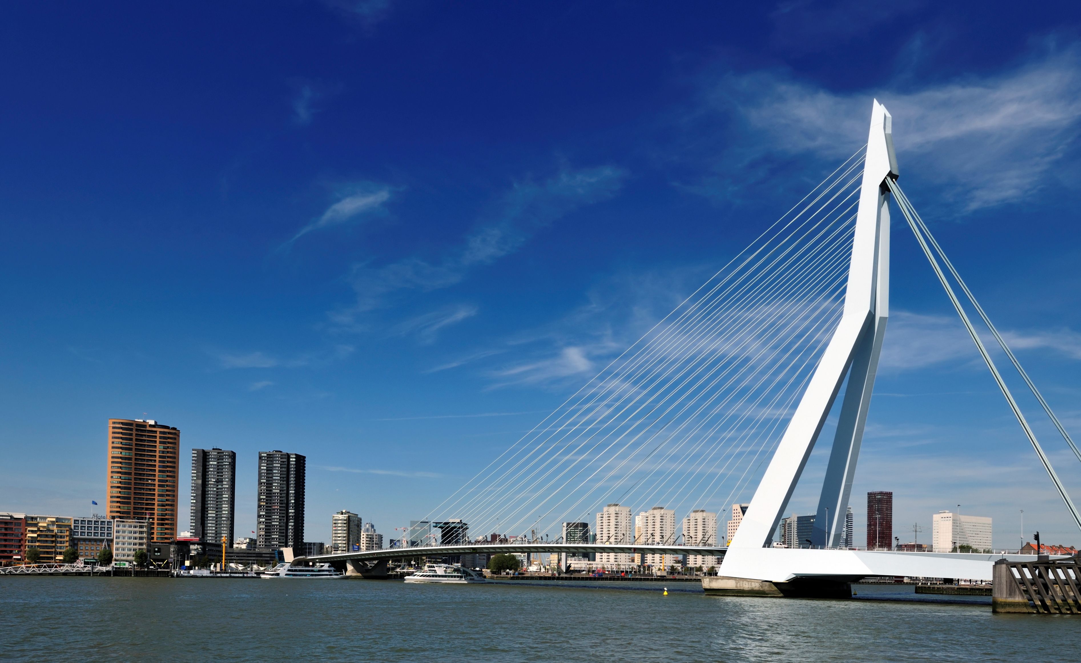 როტერდამი