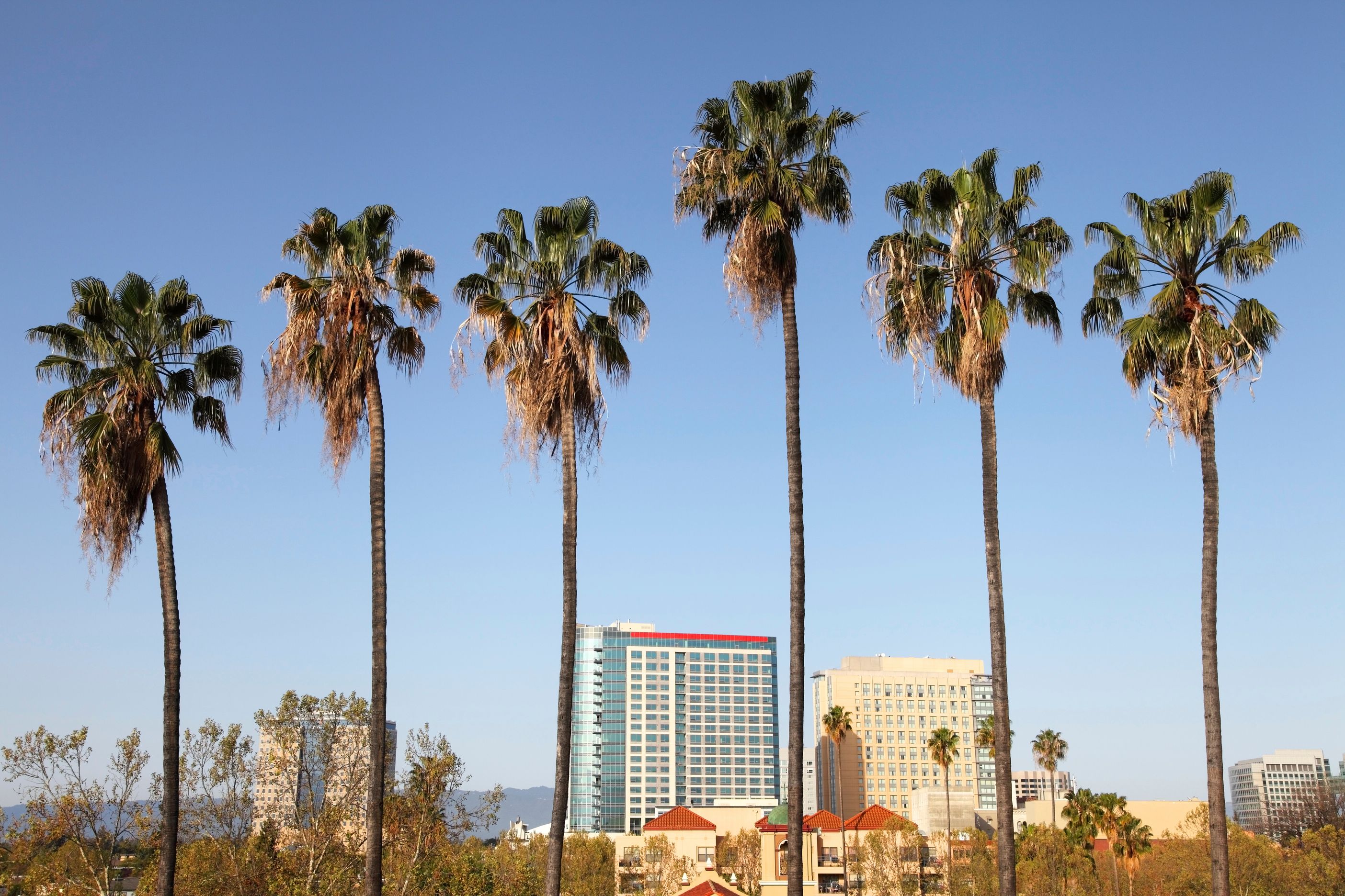 სან-ხოსე