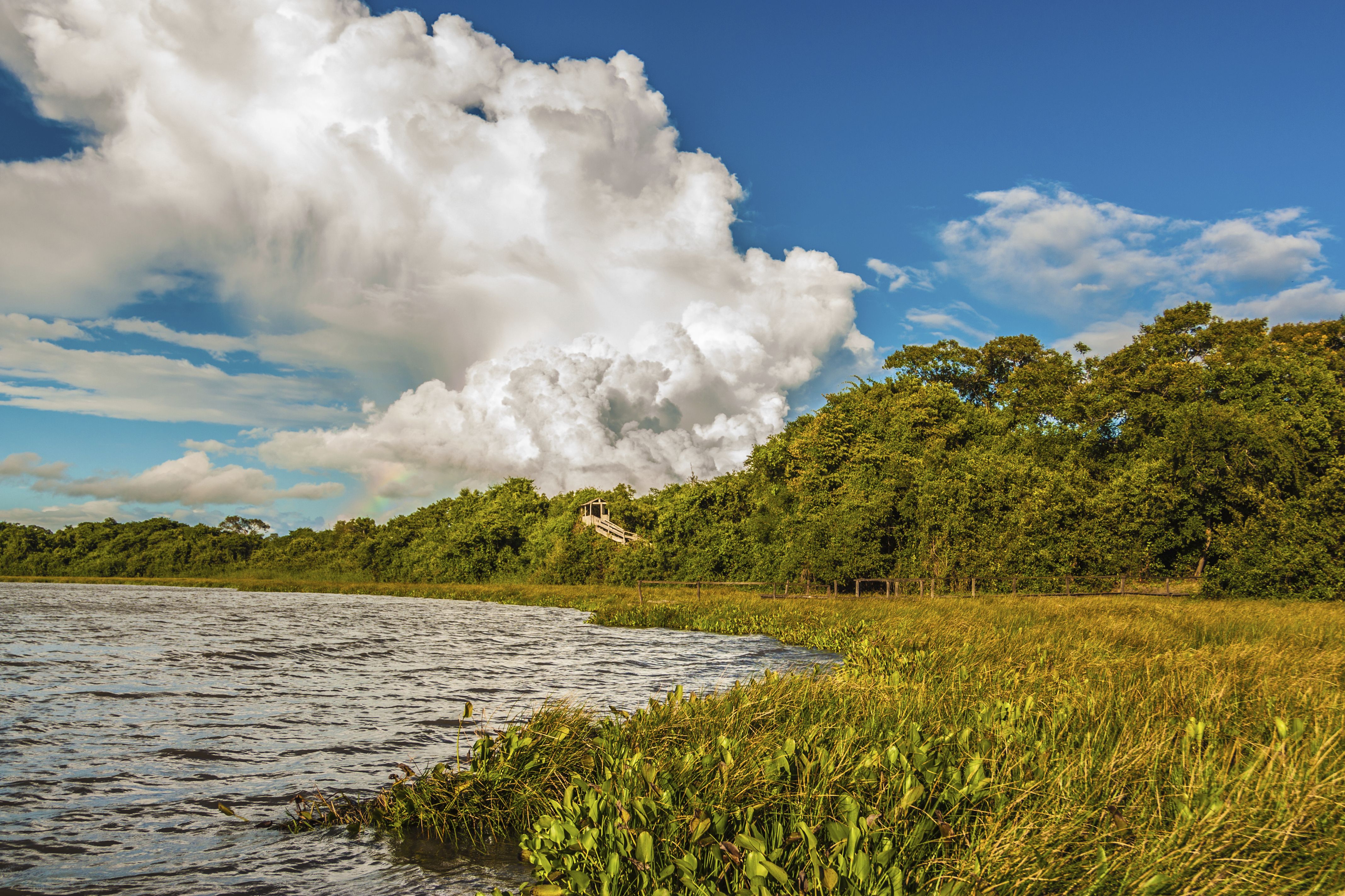 საიპანი