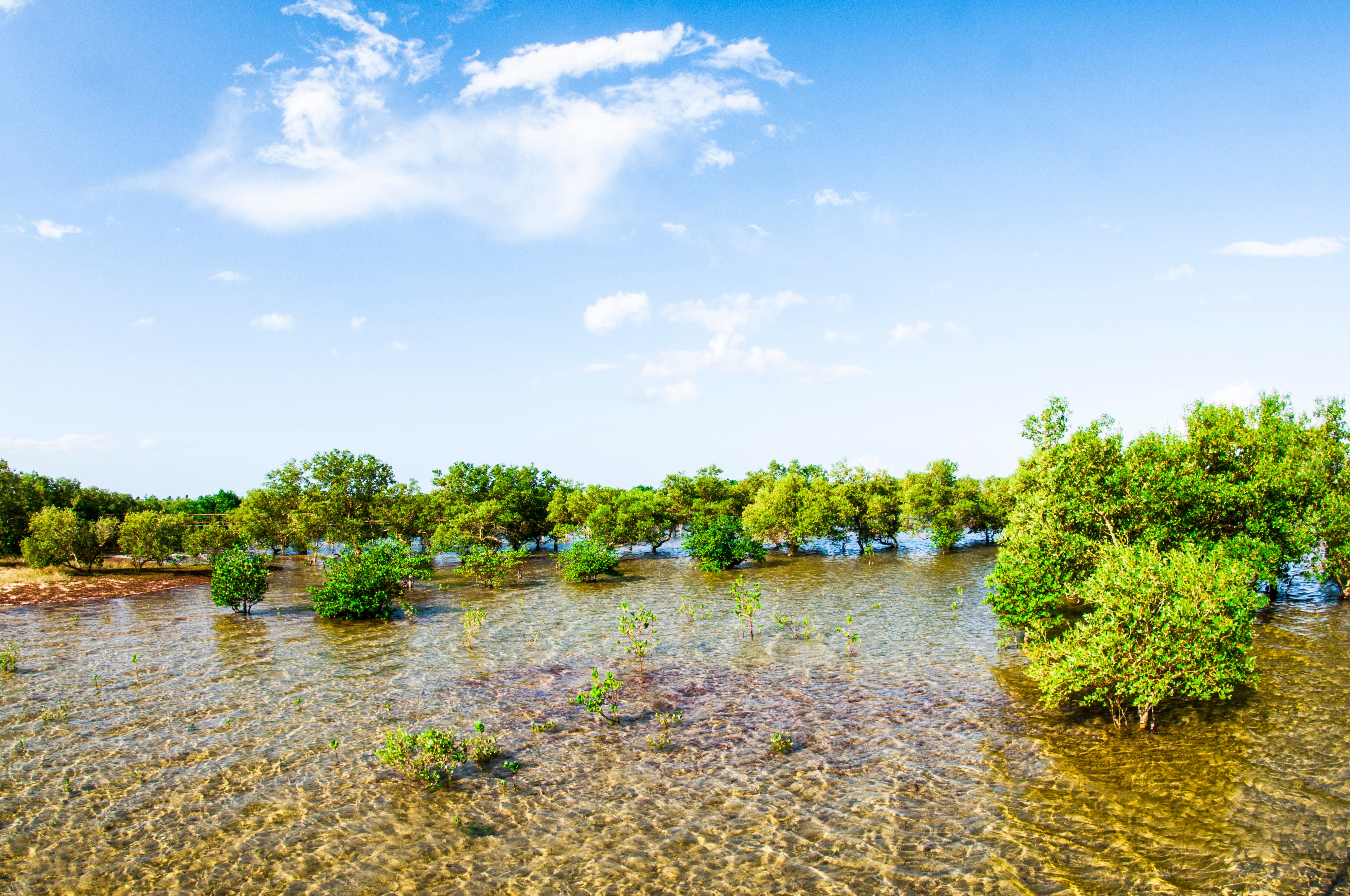 ტეტერბორო