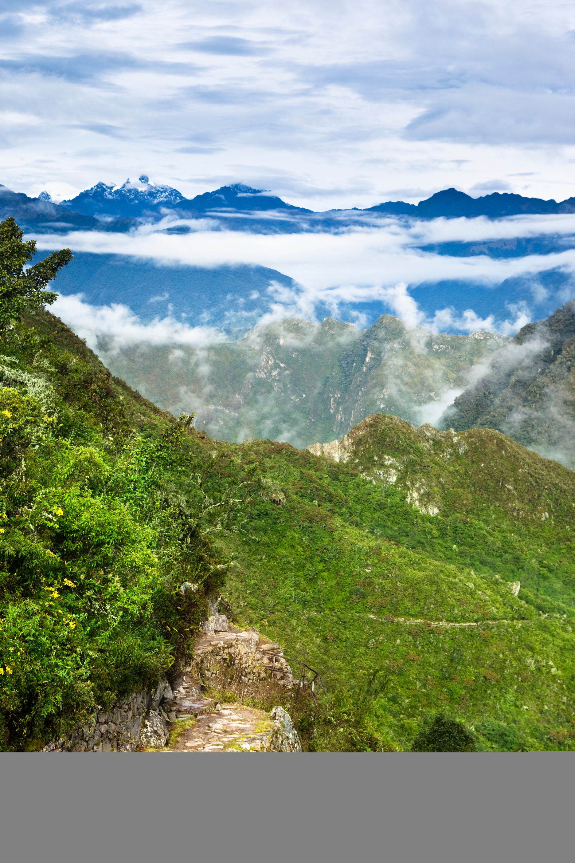 ტარაპოტო