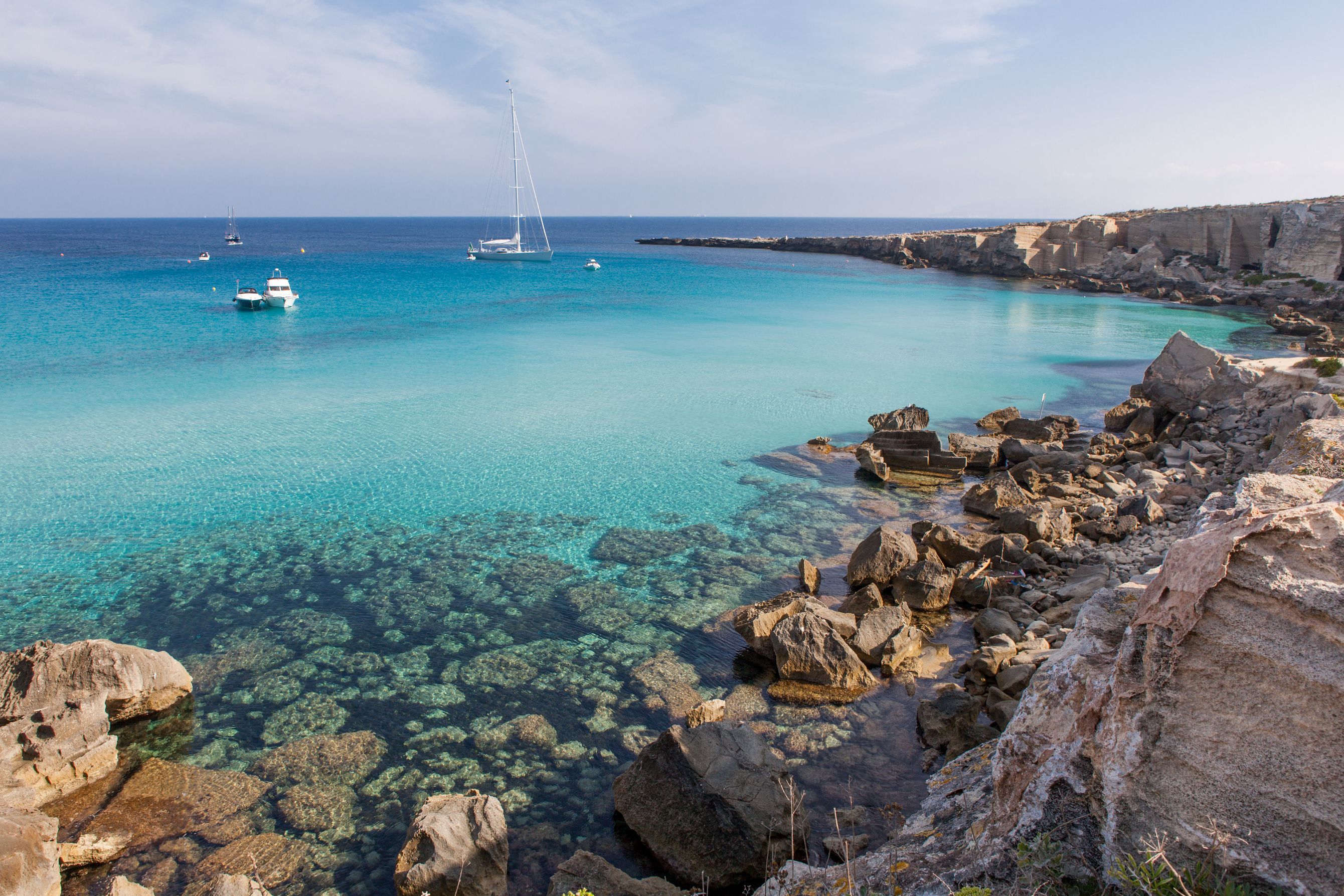 ტრეპანი