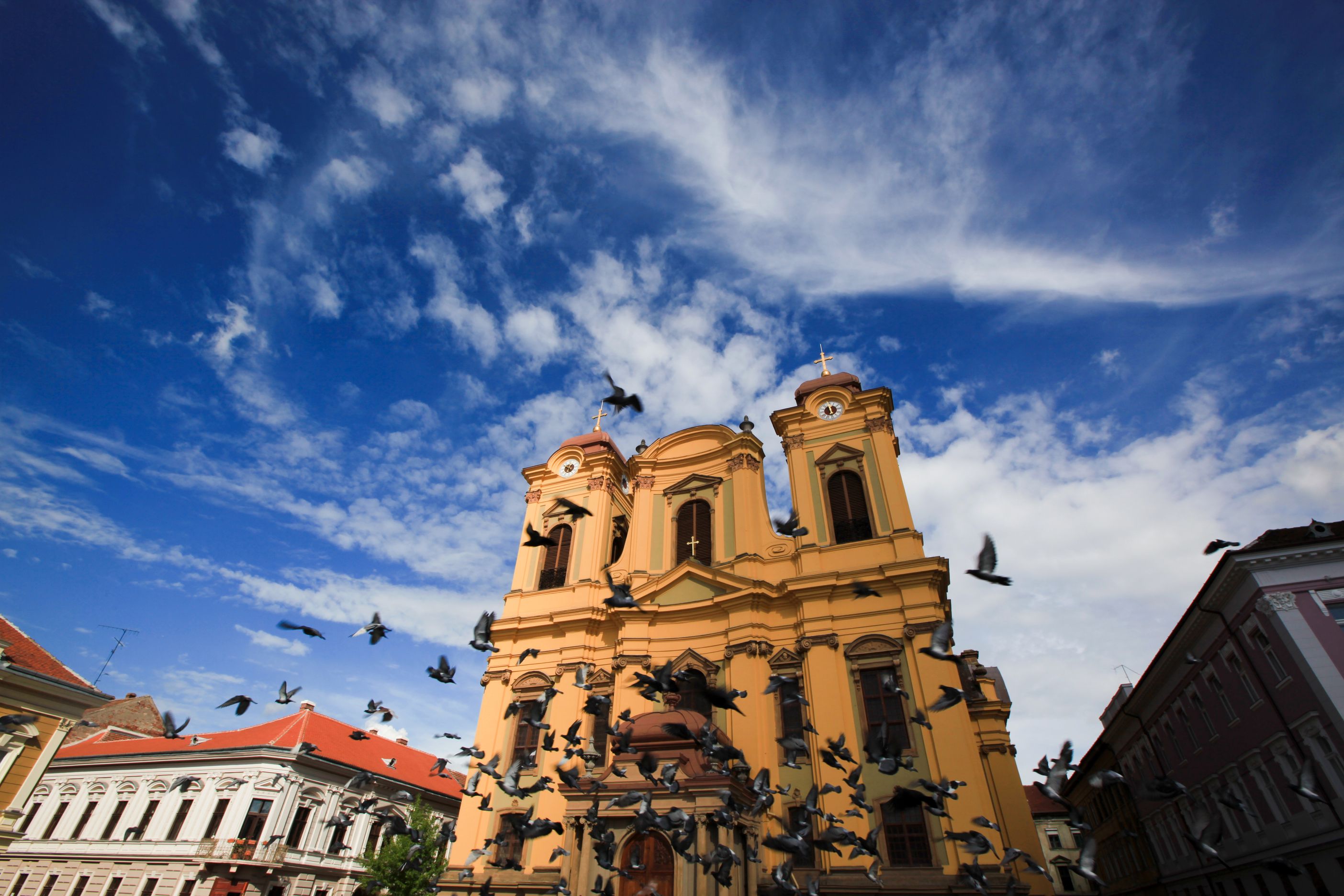 ტიმიშოარას