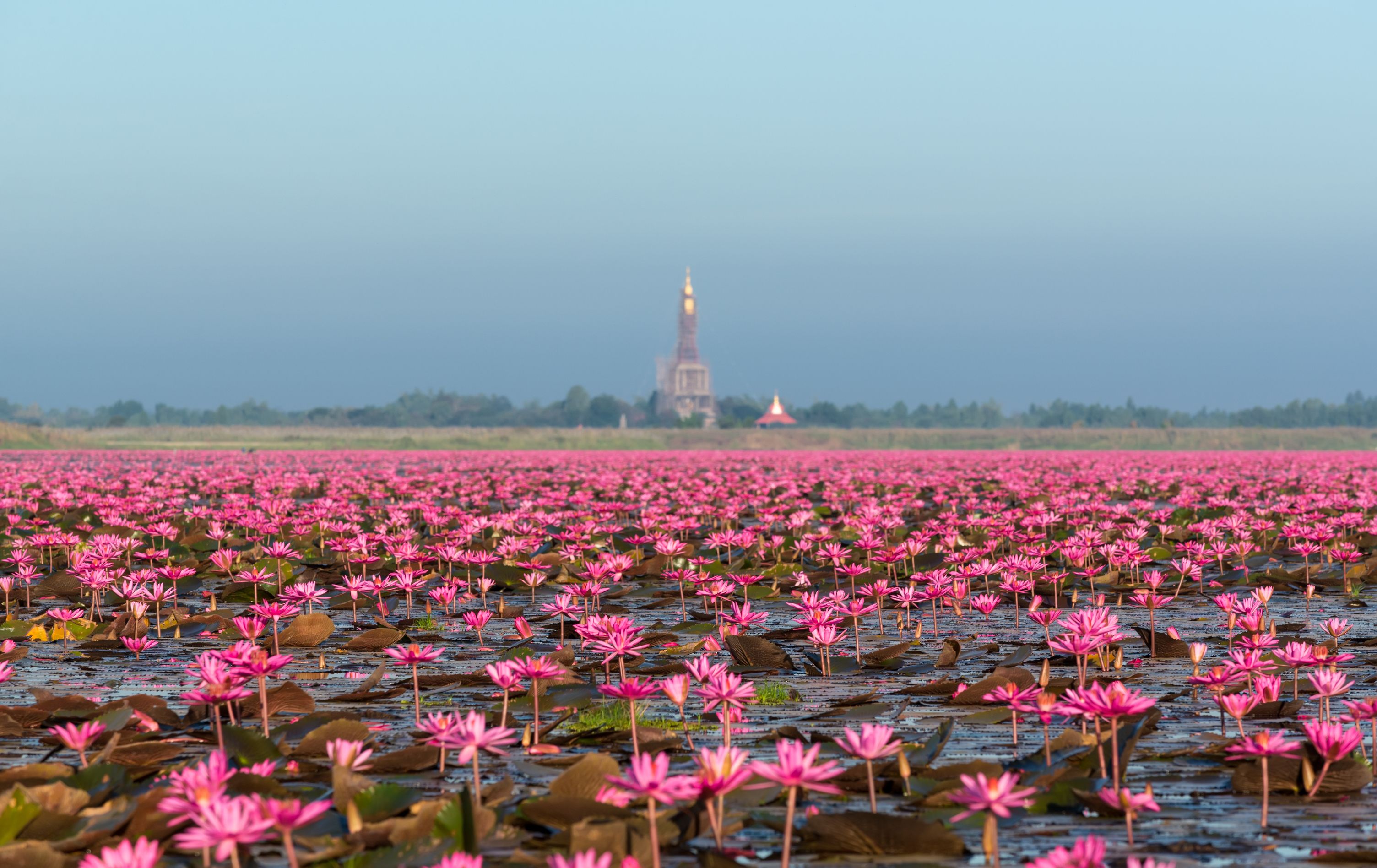 უდონ თანი