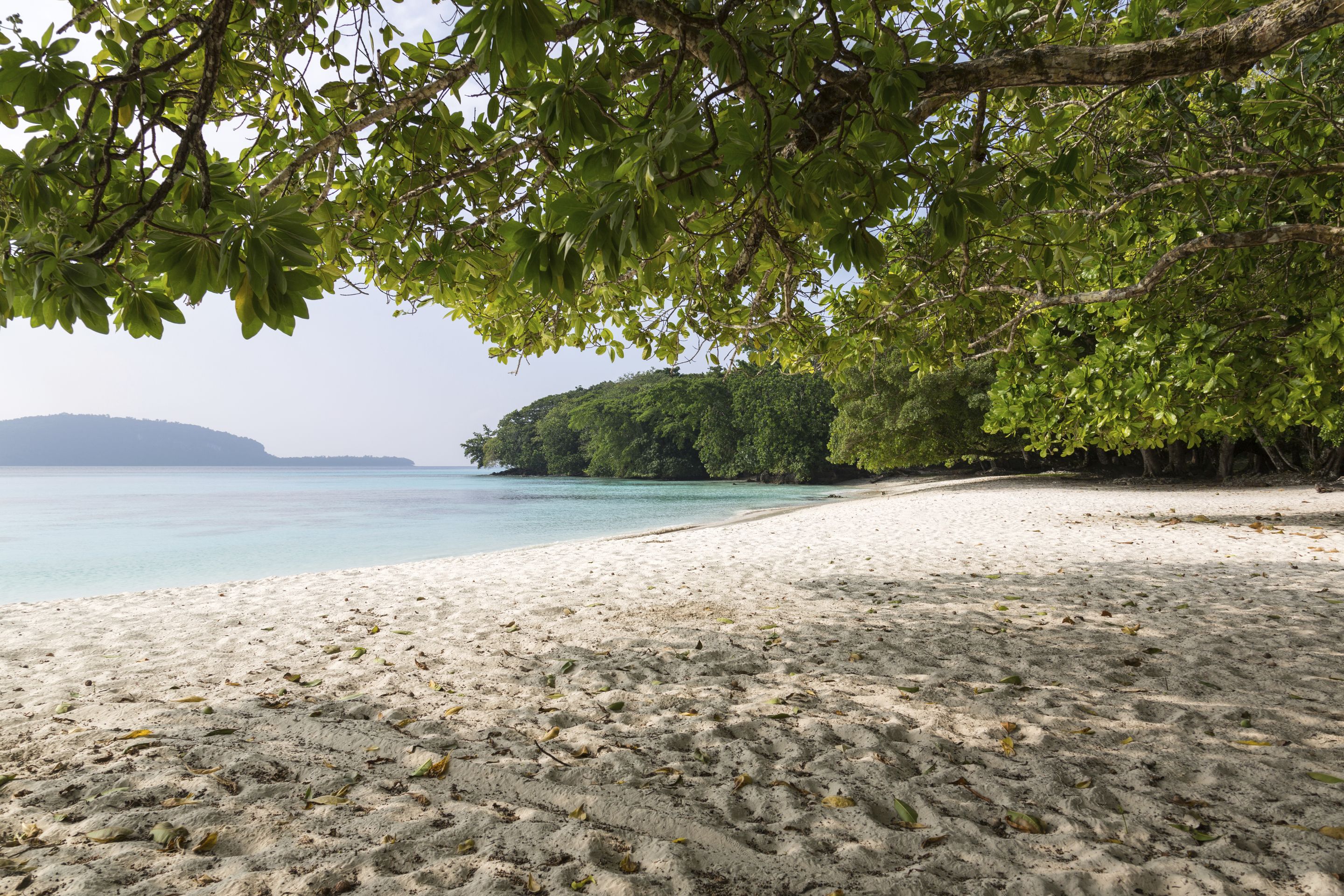 პორტ-ვილა