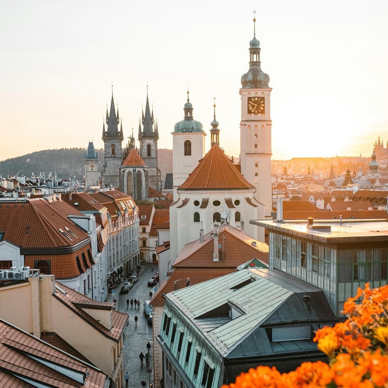 Крепость и виды