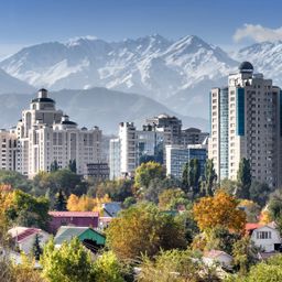 Элита