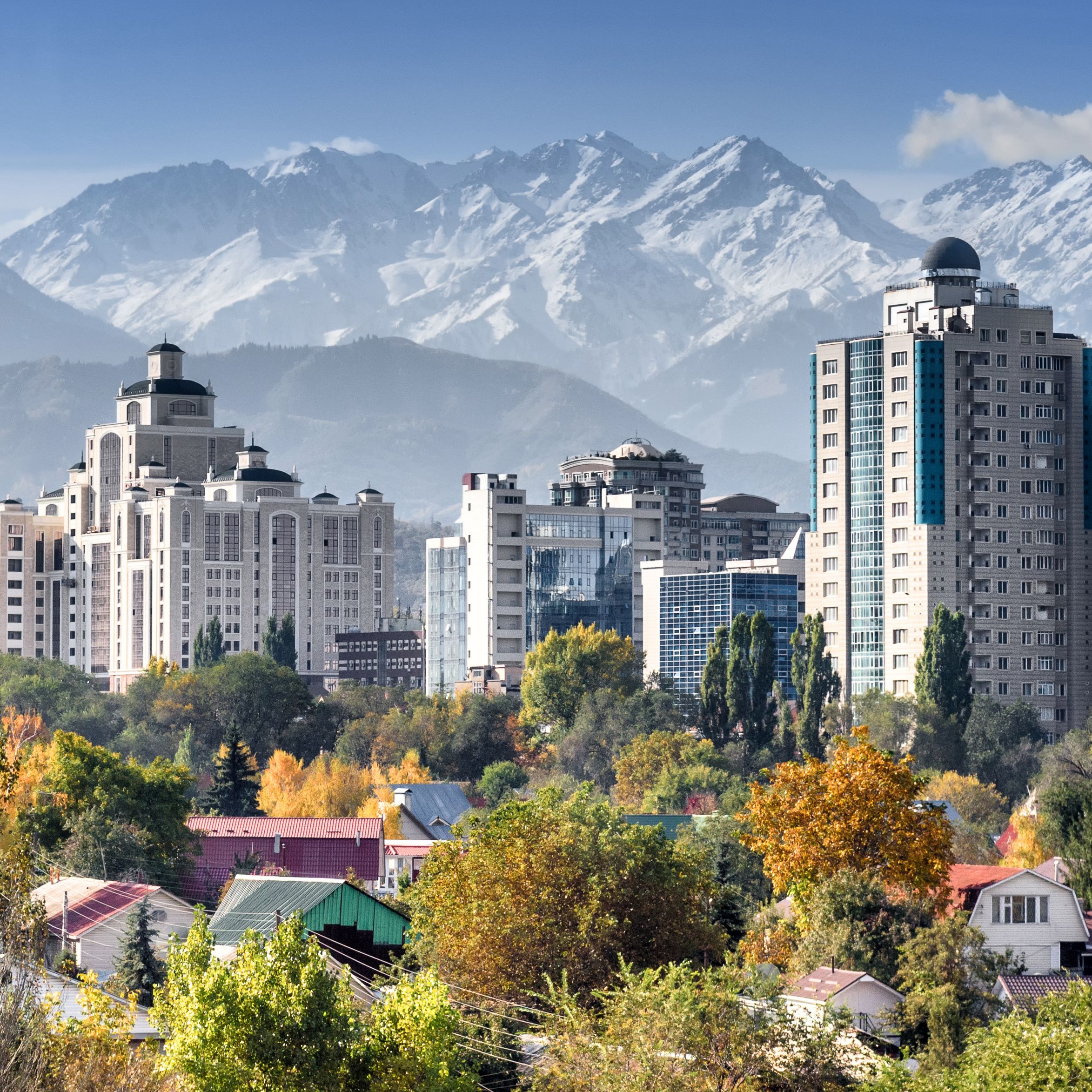 Элита