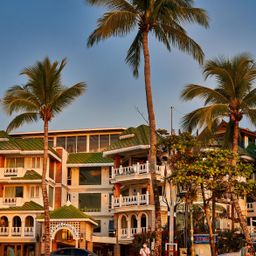 Толпы и движ