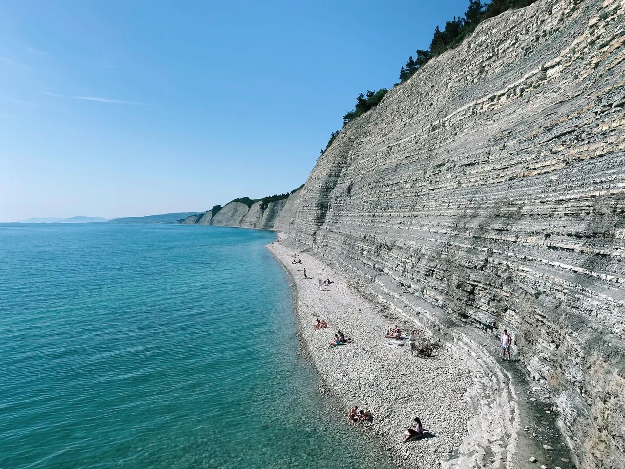 Сосновка