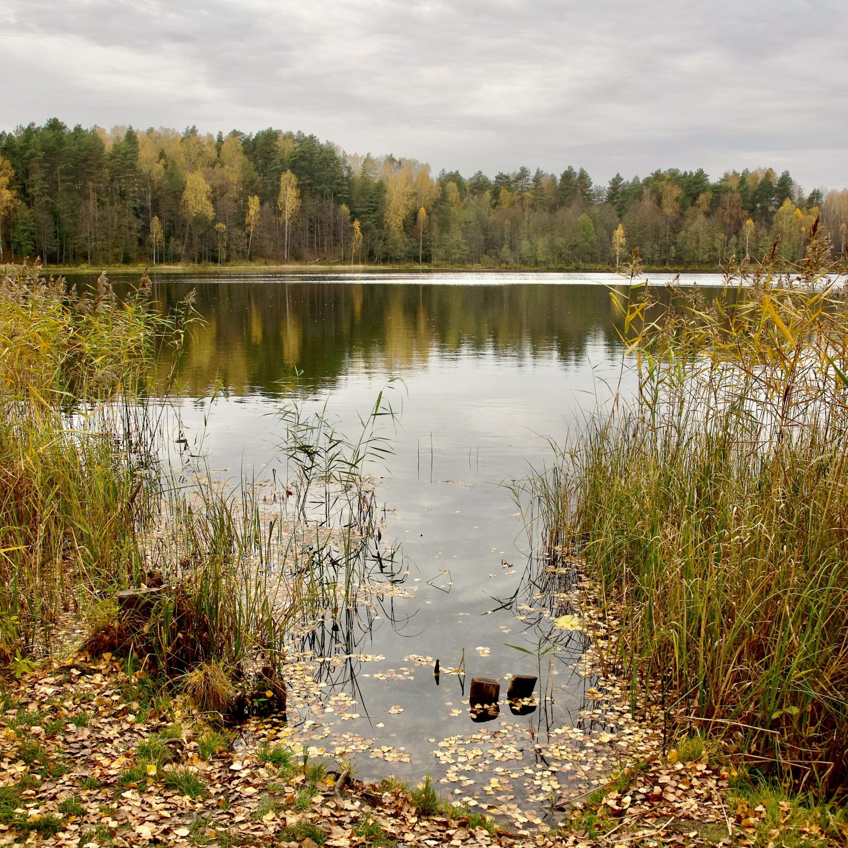Озеро Светлояр