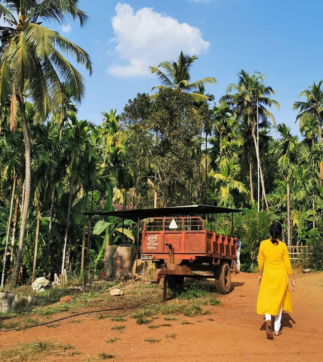 Плантация специй Сахакари