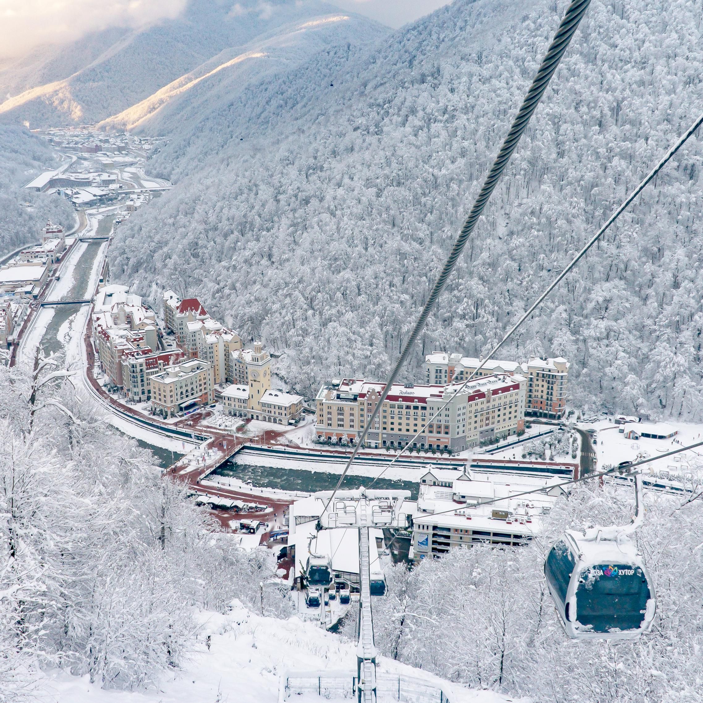 Роза Долина