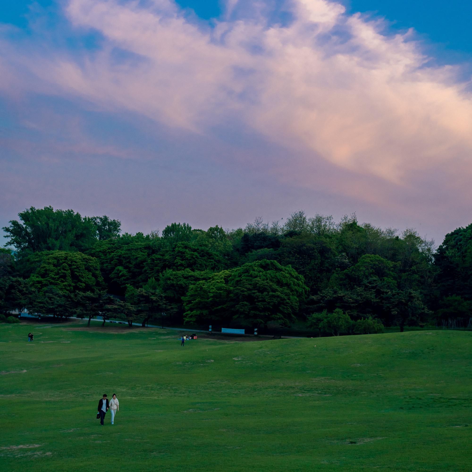 Холм одного дерева