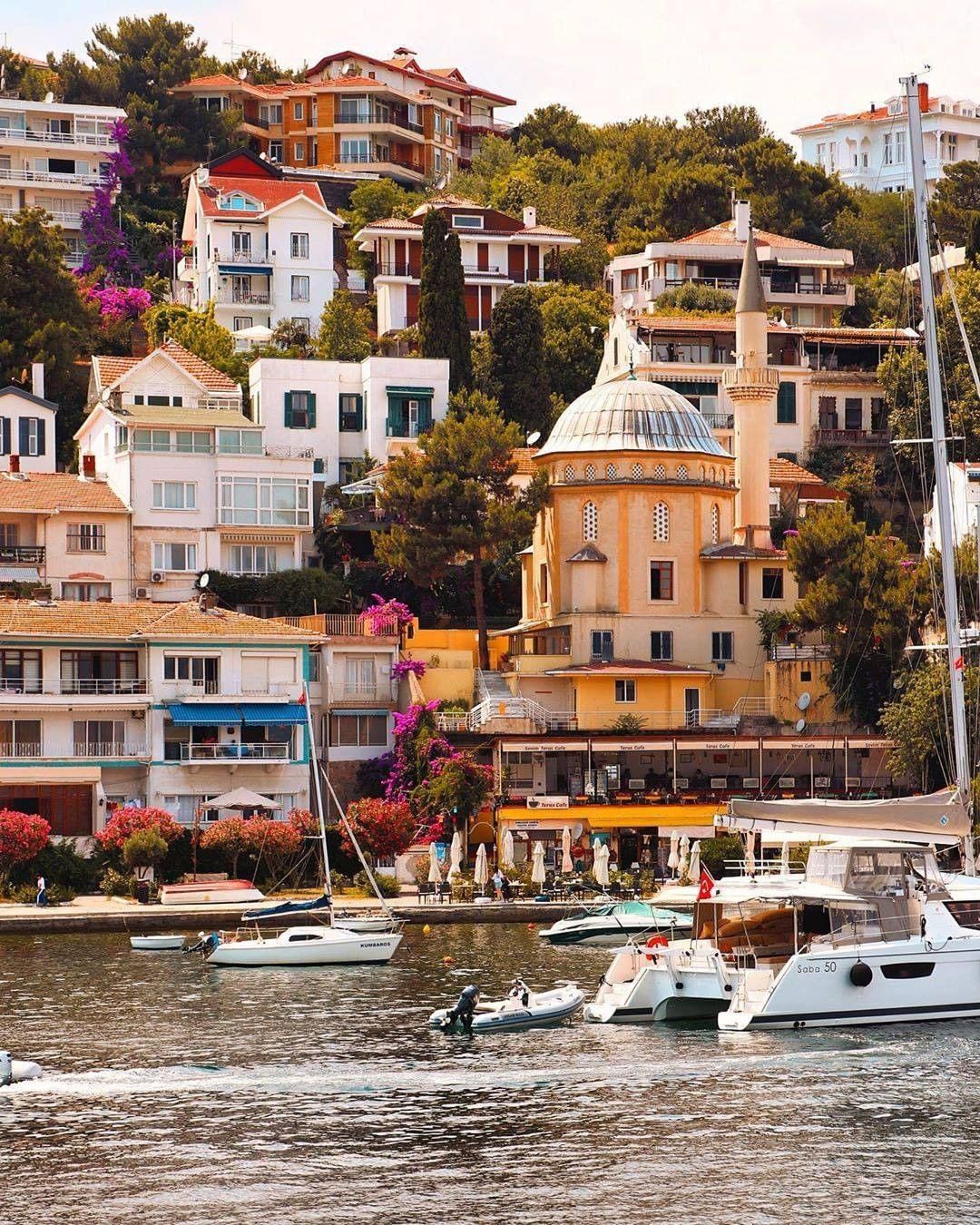 Принцевы аралы