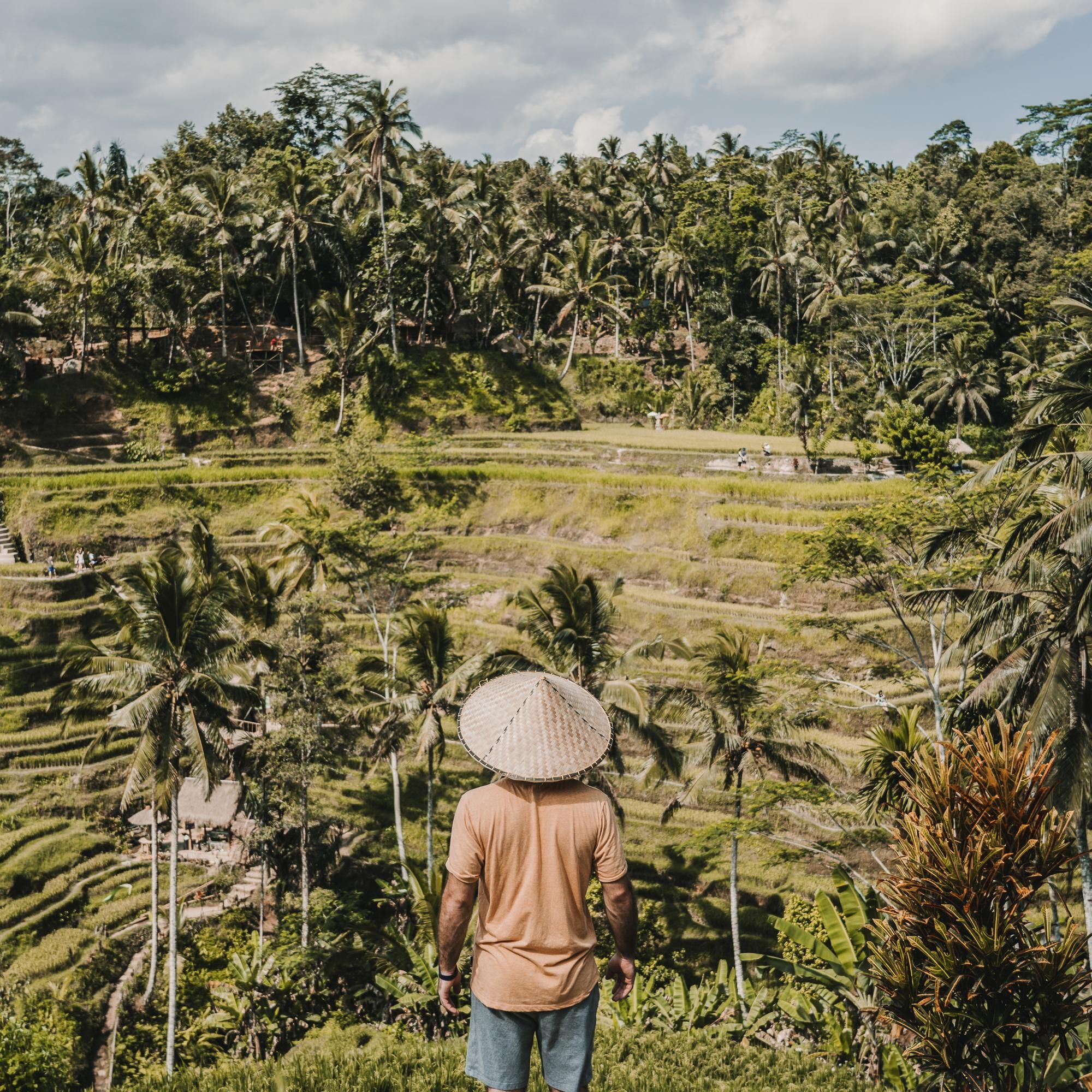 Сфоткаться на рисовых террасах