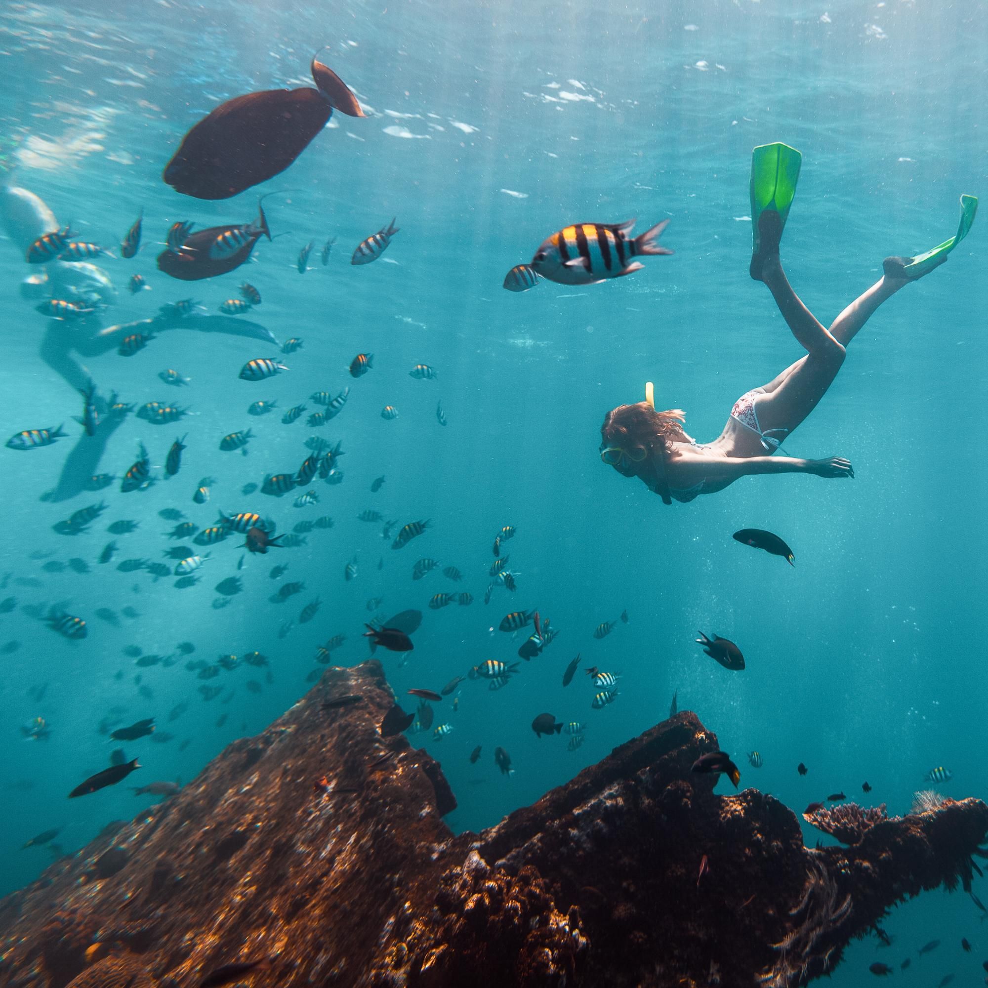 Поснорклить у райских островов