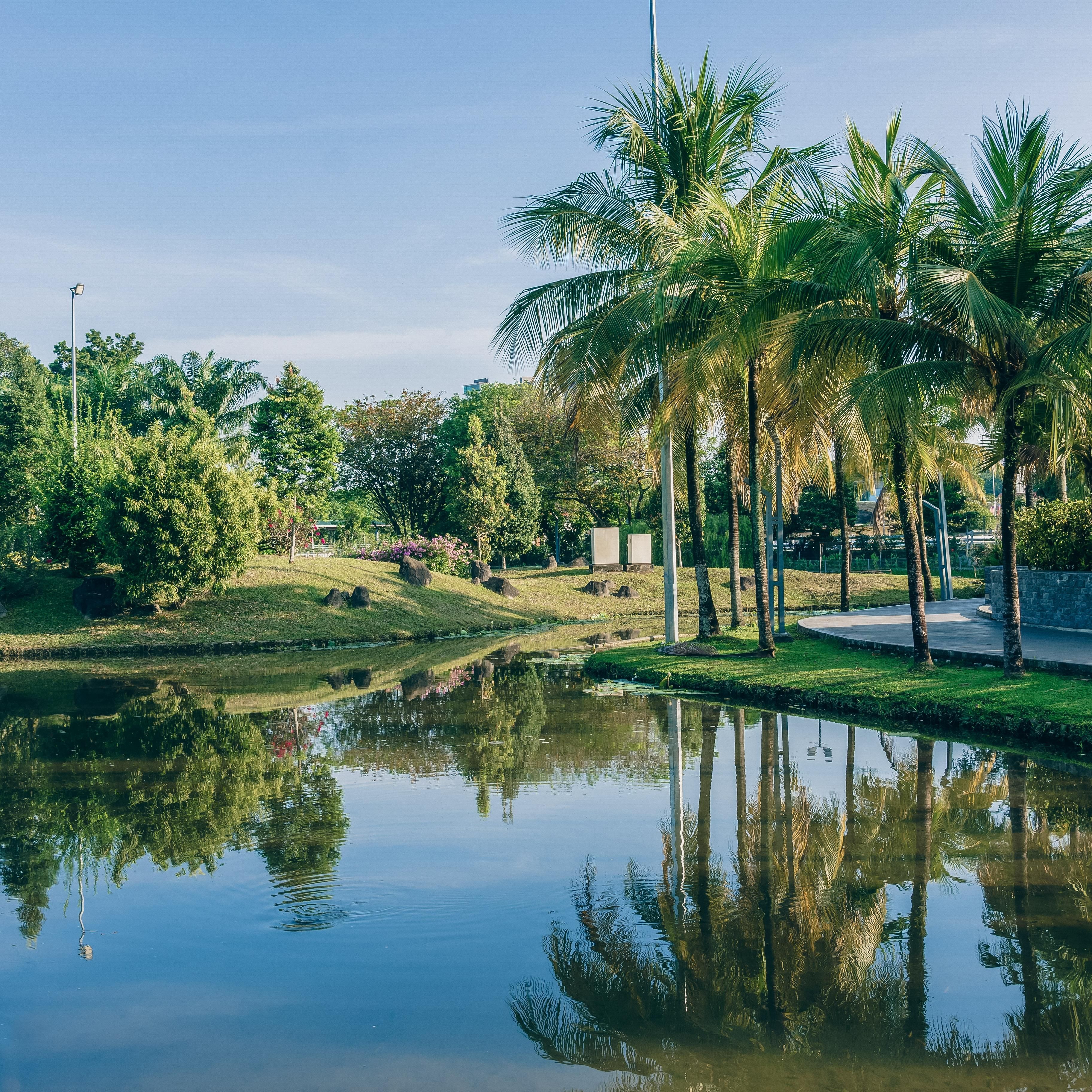 Титивангс Саябағы