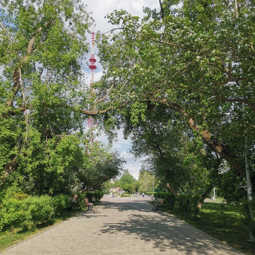 Парк Павлика Морозова