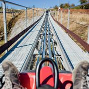 Прокатиться на родельбане