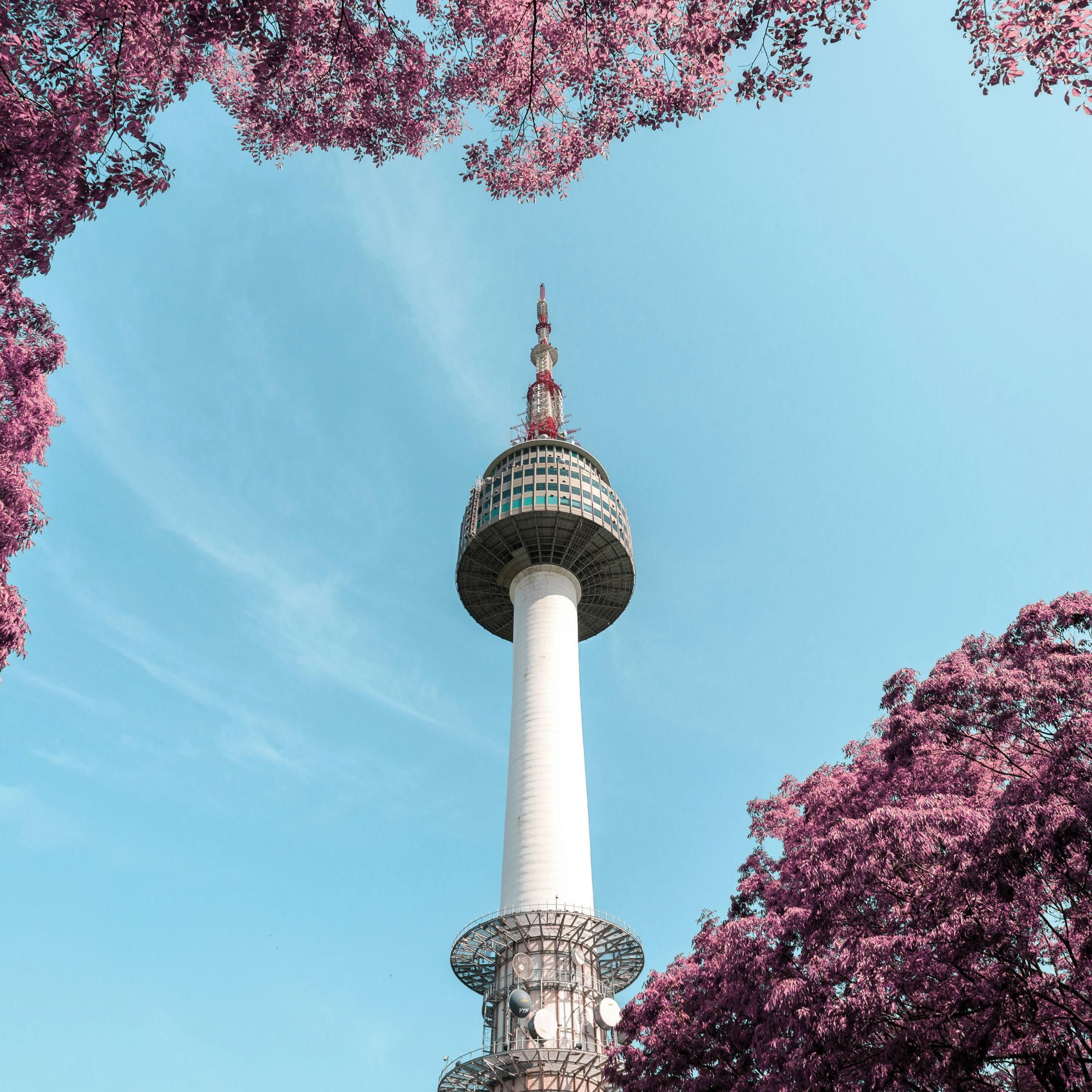 Башня YTN Seoul Tower