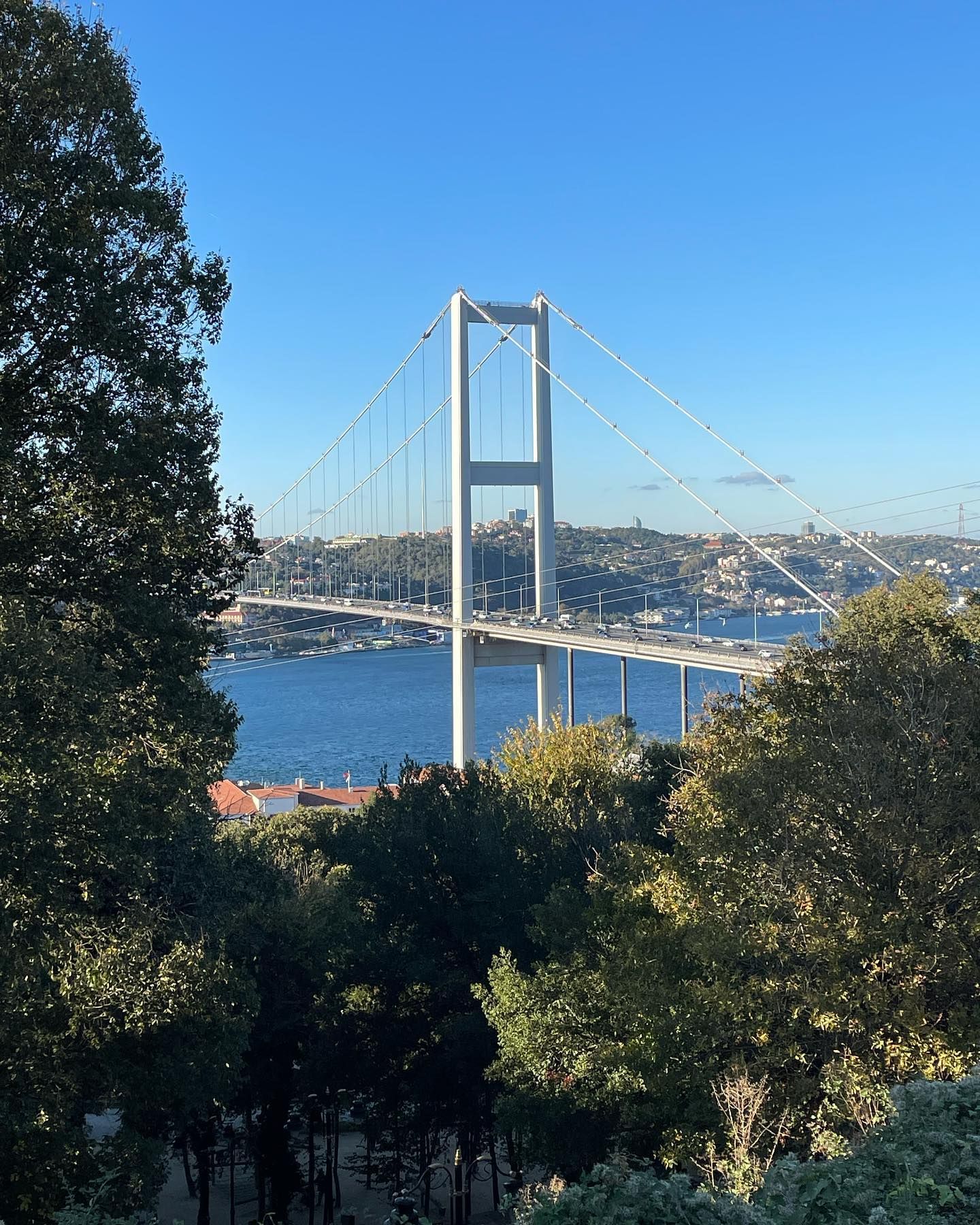 Зиплайн в парке Nakkaştepe